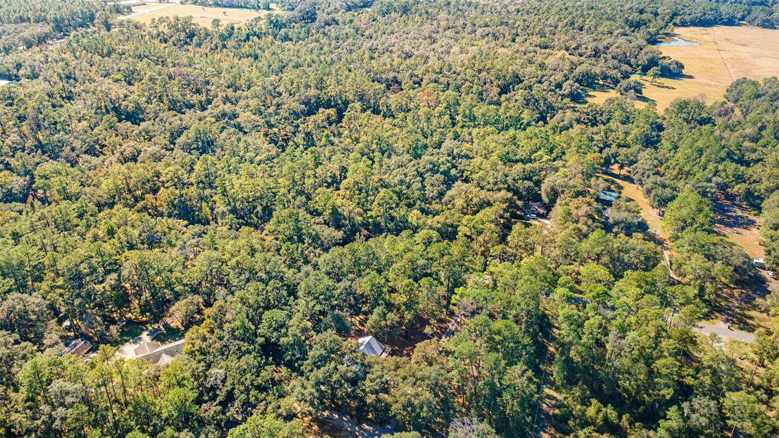 4292 CULBREATH RD, BROOKSVILLE, FL, 34601