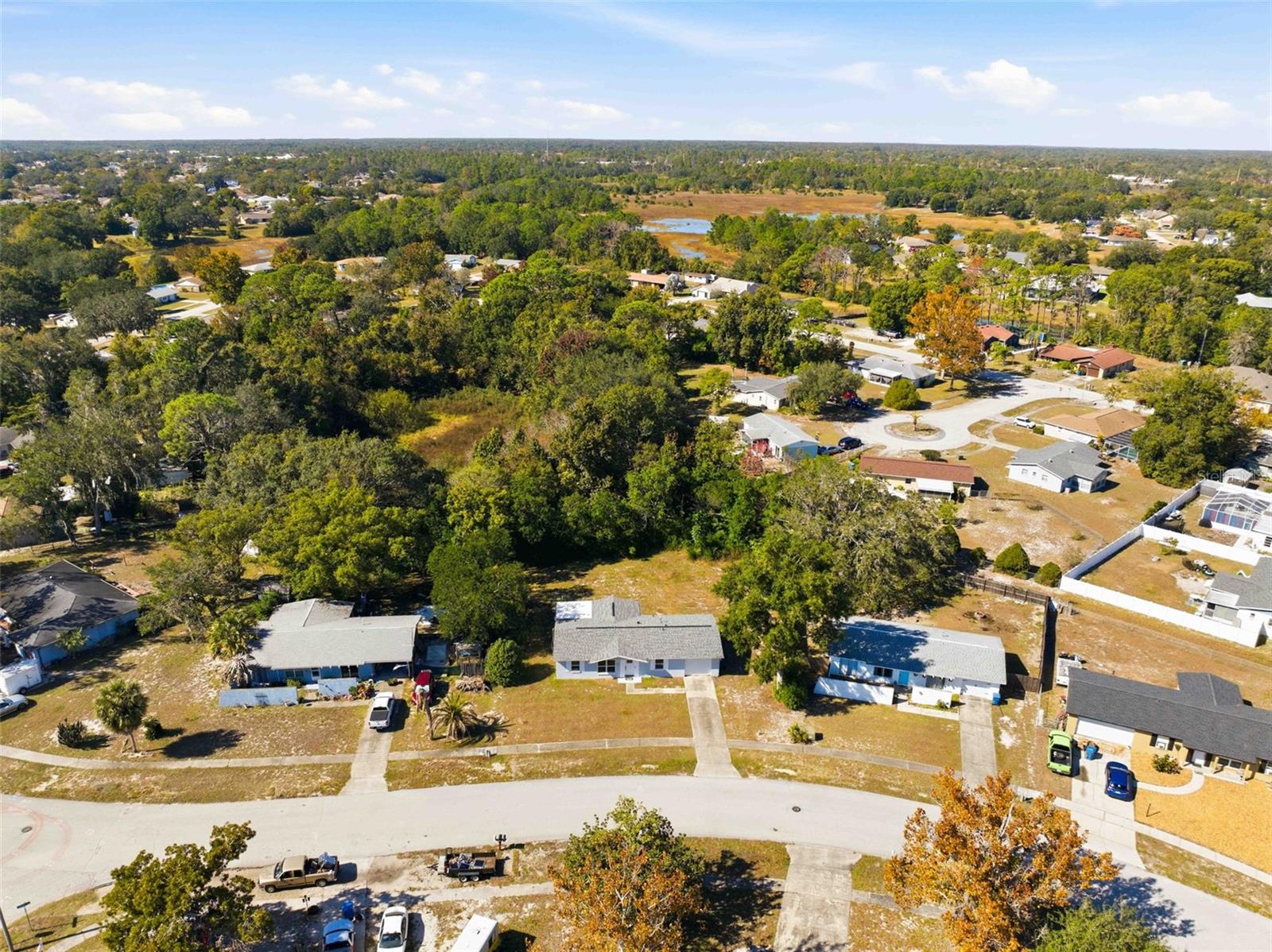 4533 LAKESHORE AVE, SPRING HILL, FL, 34606