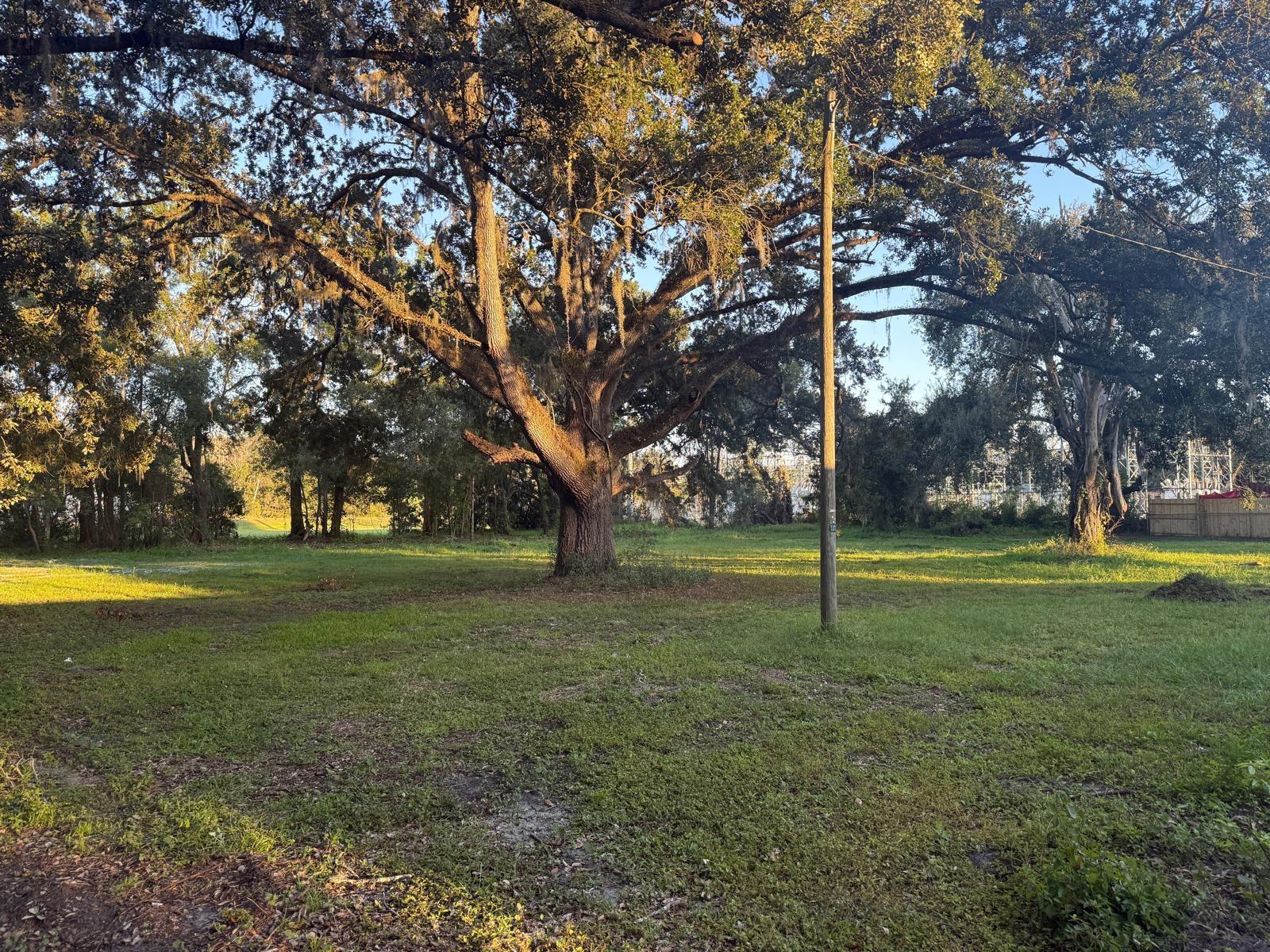 14646 15TH ST, DADE CITY, FL, 33523