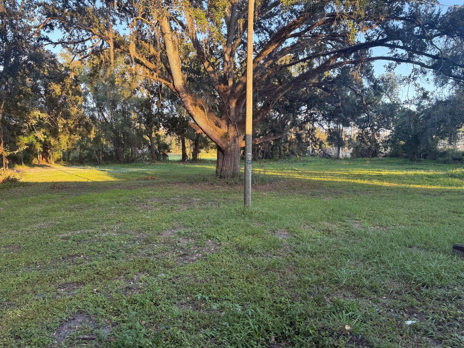 14646 15TH ST, DADE CITY, FL, 33523