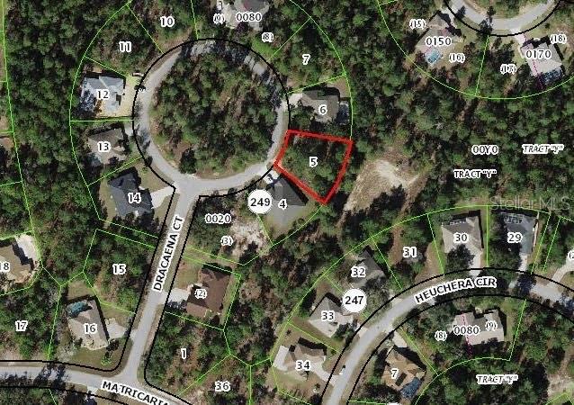 10 DRACAENA CT, HOMOSASSA, FL, 34446