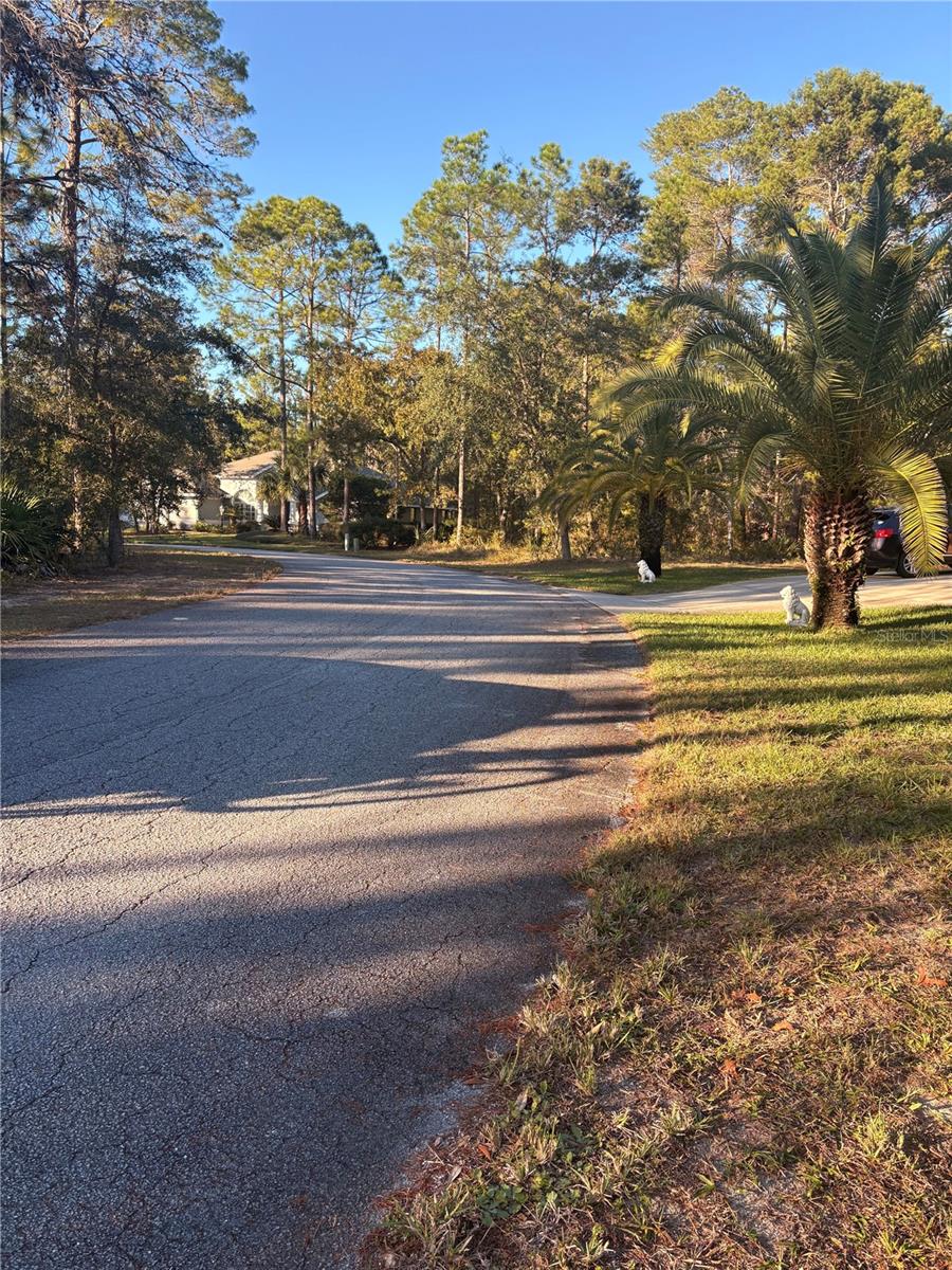 10 DRACAENA CT, HOMOSASSA, FL, 34446