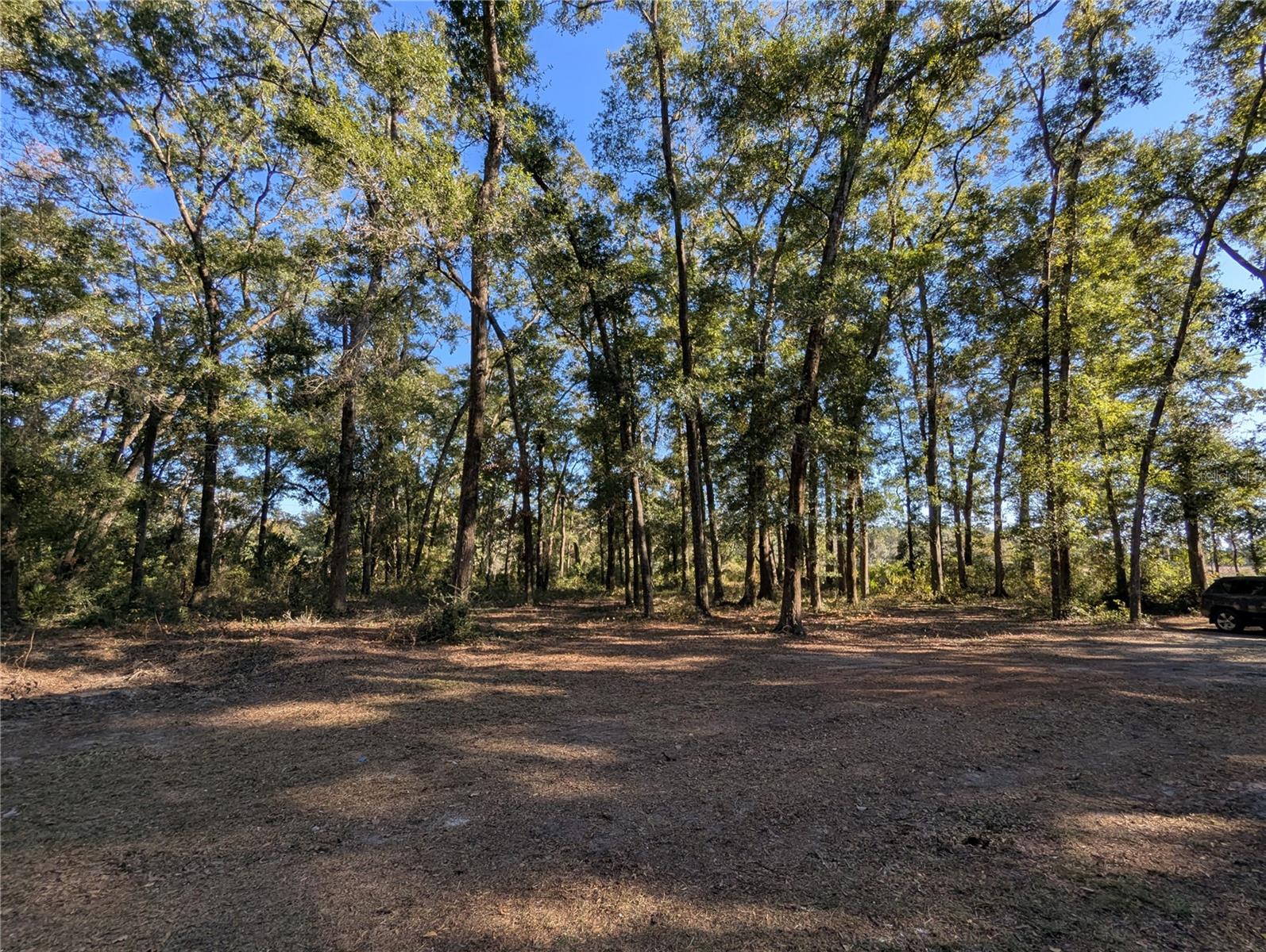 4739 SE 60TH AVE, TRENTON, FL, 32693