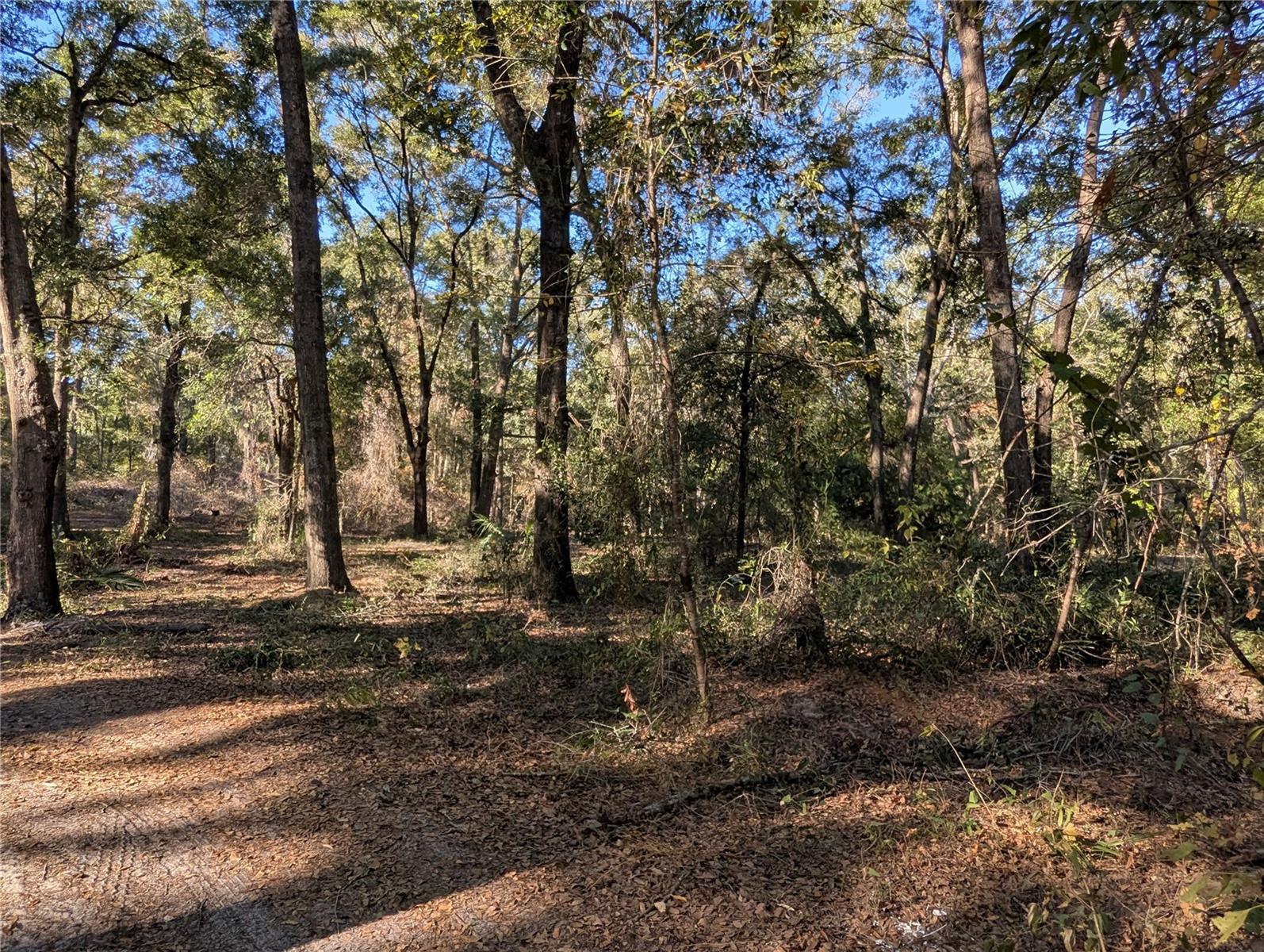 4739 SE 60TH AVE, TRENTON, FL, 32693