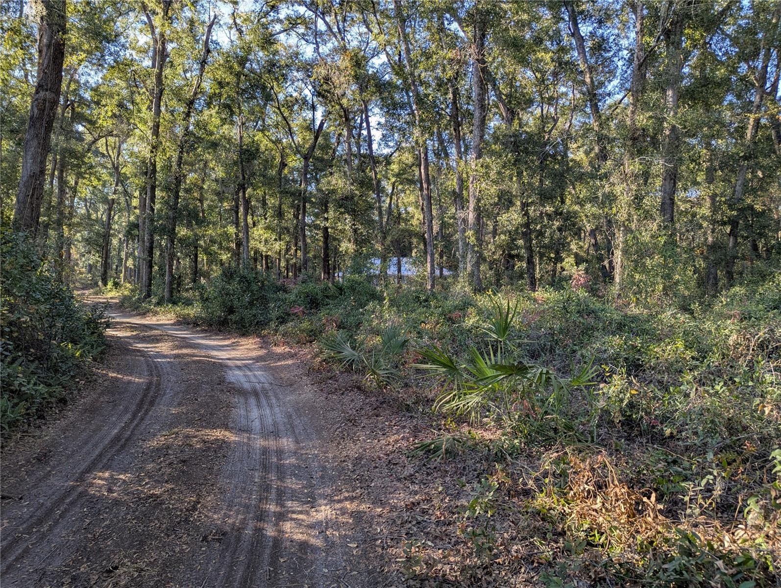 4739 SE 60TH AVE, TRENTON, FL, 32693