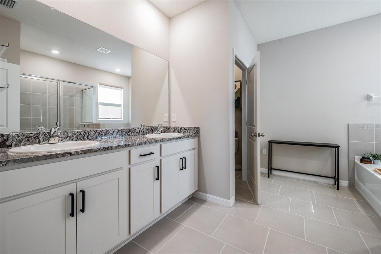 9817 ROWING DALE BND, WESLEY CHAPEL, FL, 33545