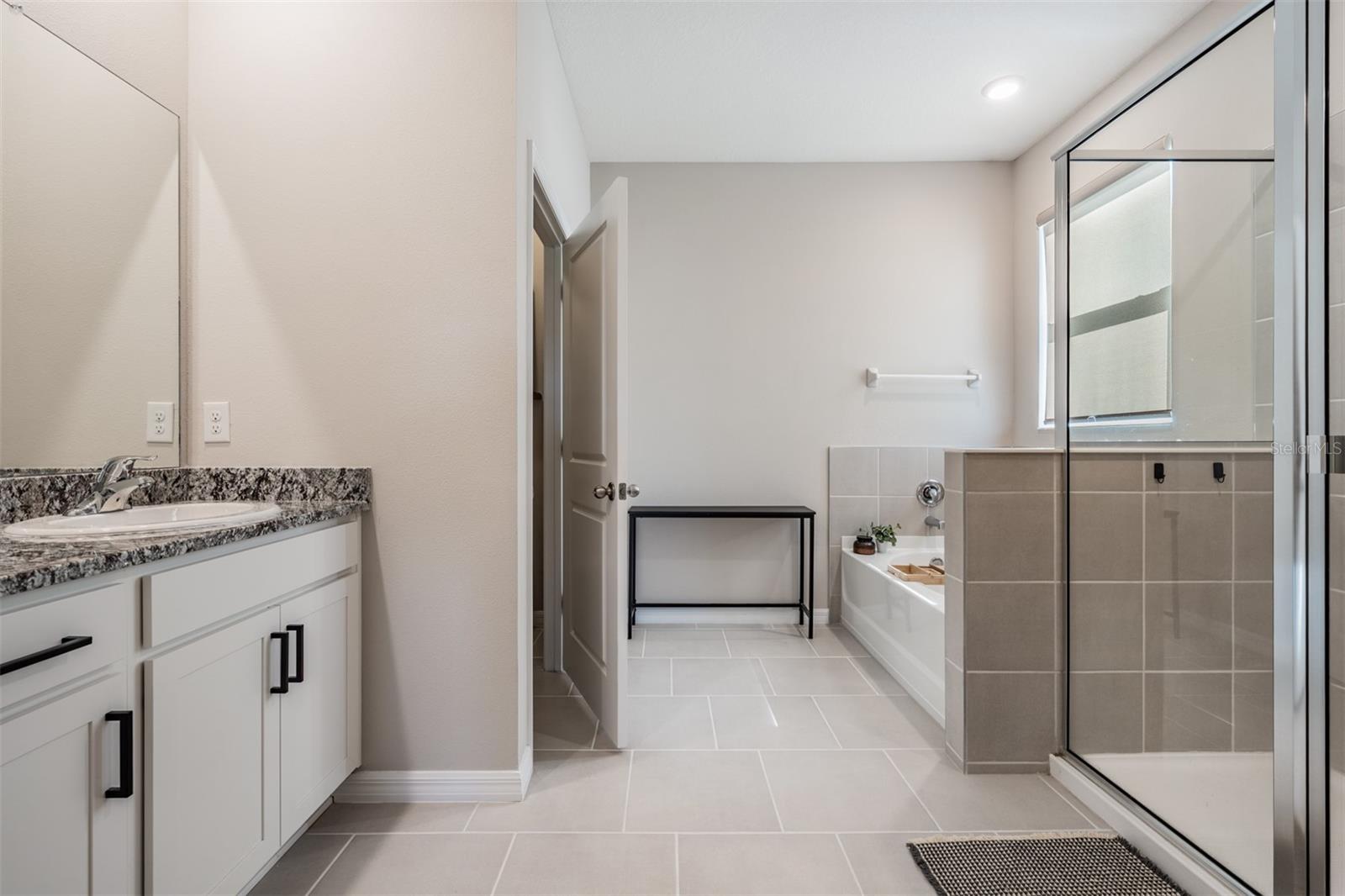 9817 ROWING DALE BND, WESLEY CHAPEL, FL, 33545