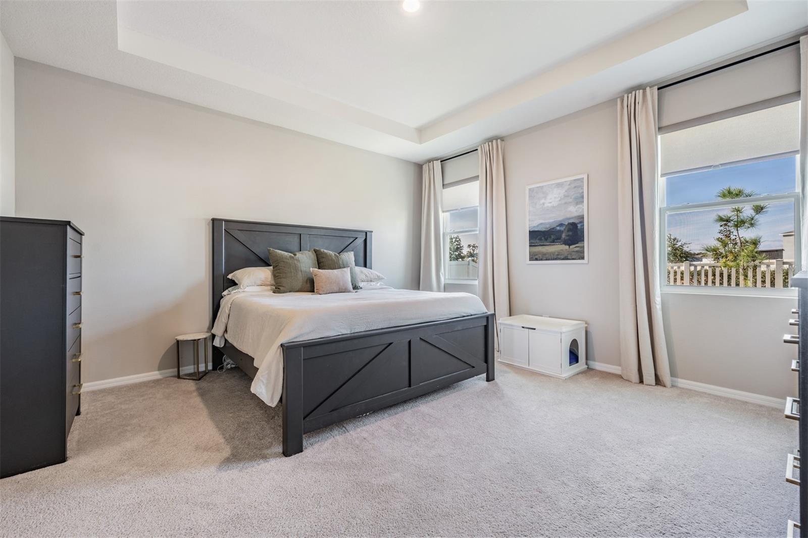 9817 ROWING DALE BND, WESLEY CHAPEL, FL, 33545