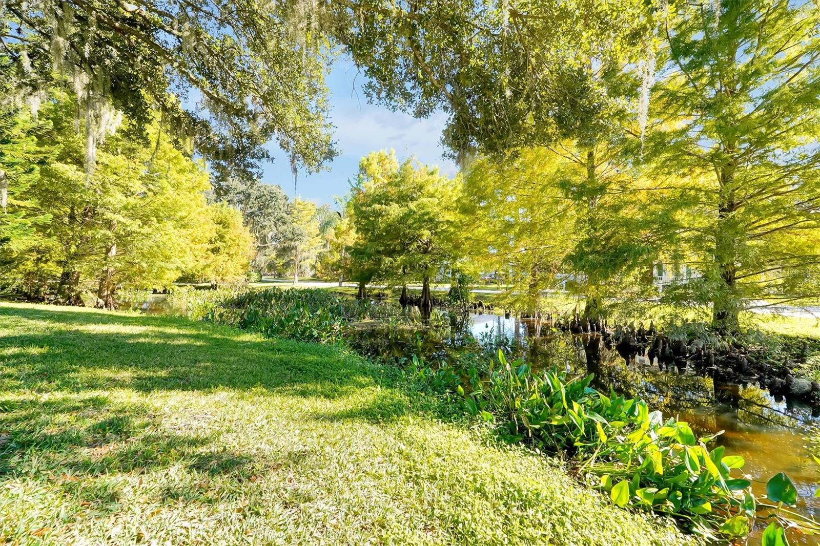 81 OAKDALE ST, WINDERMERE, FL, 34786