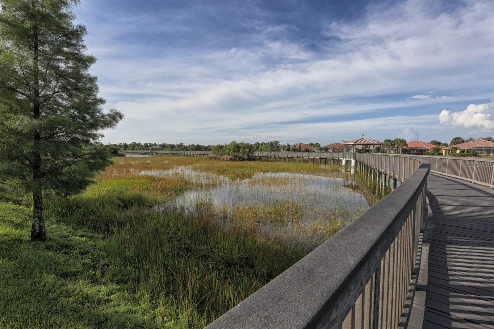 19188 LAPPACIO ST, VENICE, FL, 34293