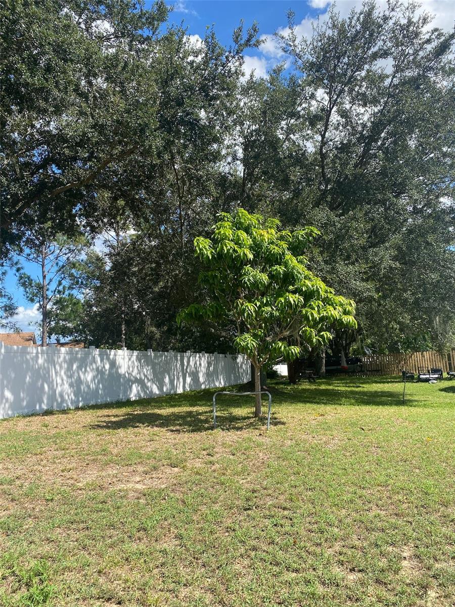 9718 CRENSHAW CIR, CLERMONT, FL, 34711