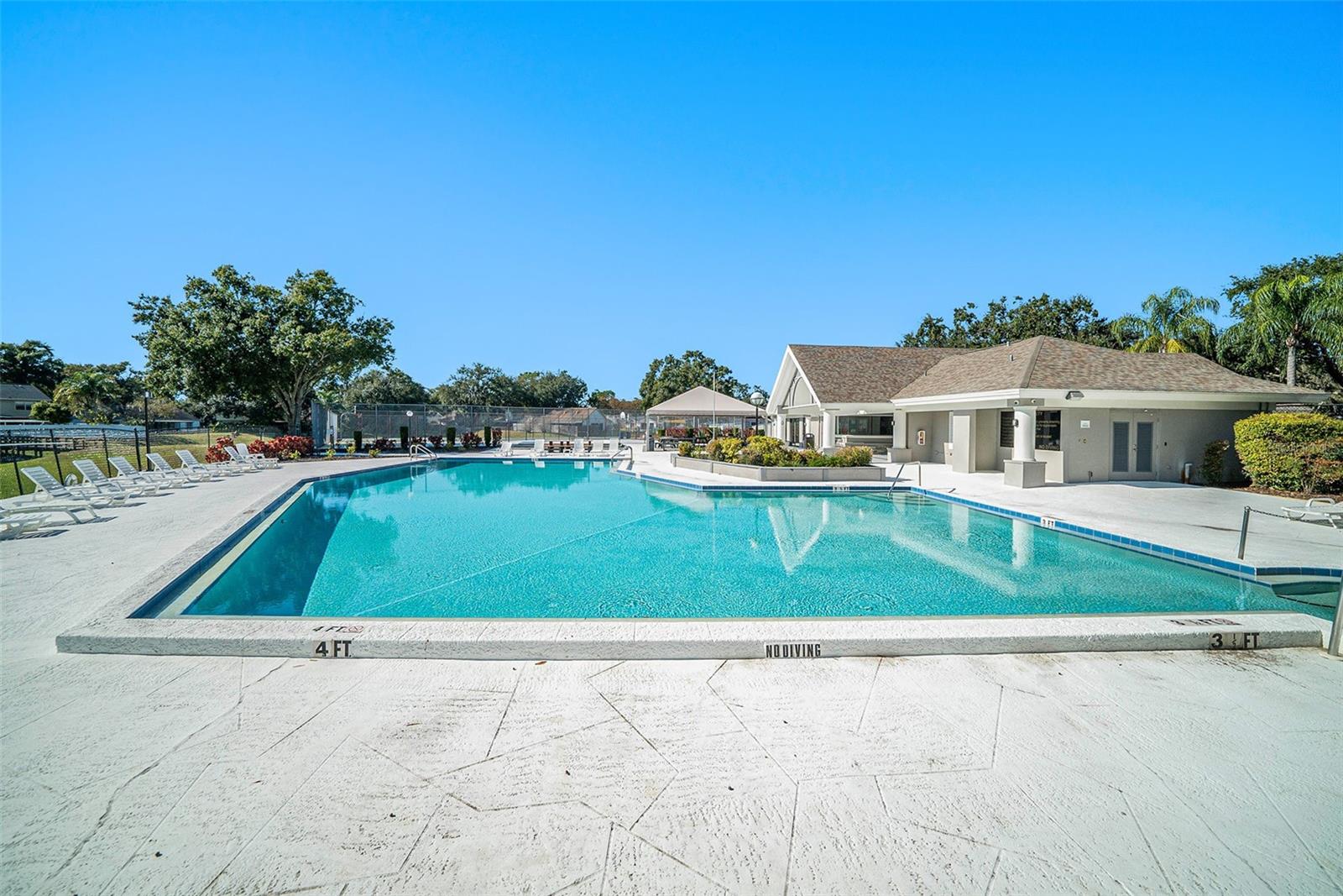 1947 TINKER DR, LUTZ, FL, 33559