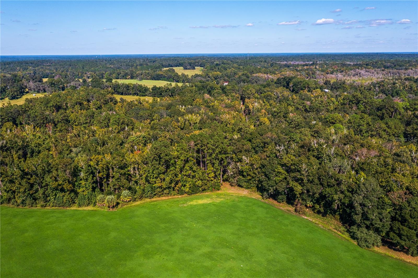 21490 NW 106TH COURT RD, MICANOPY, FL, 32667