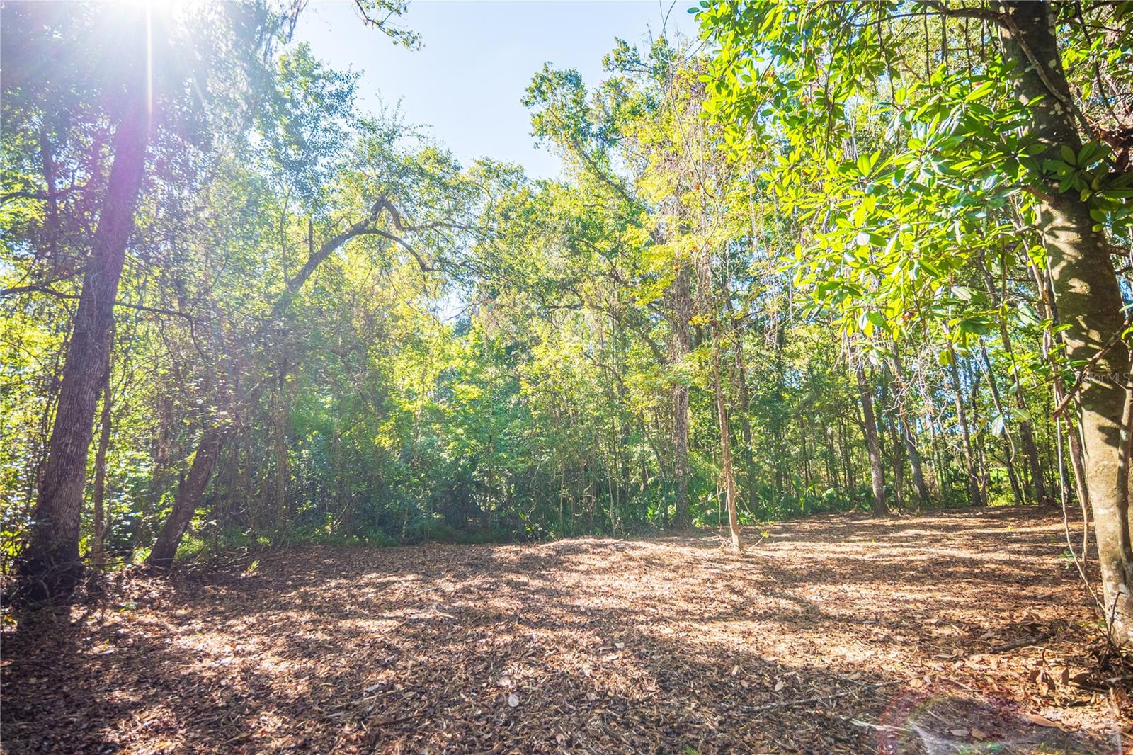 21490 NW 106TH COURT RD, MICANOPY, FL, 32667