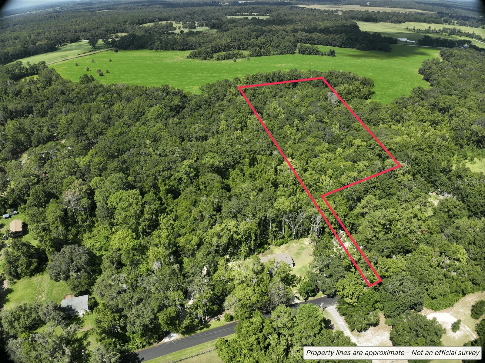 21490 NW 106TH COURT RD, MICANOPY, FL, 32667