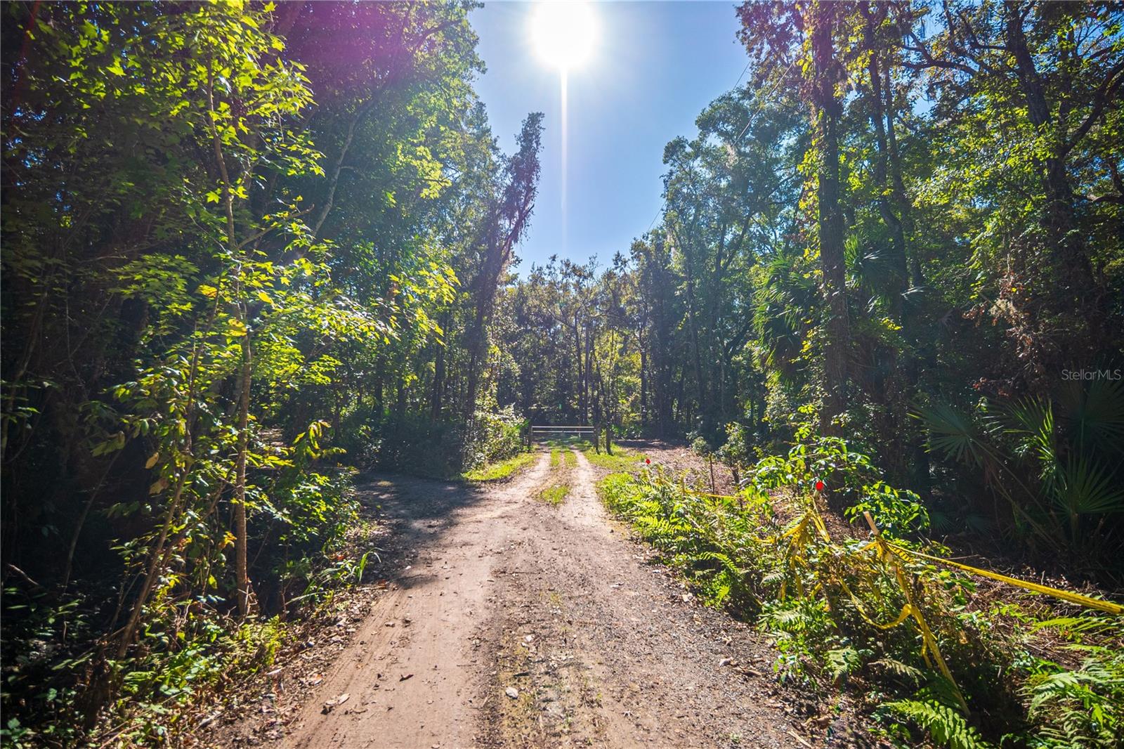 21490 NW 106TH COURT RD, MICANOPY, FL, 32667