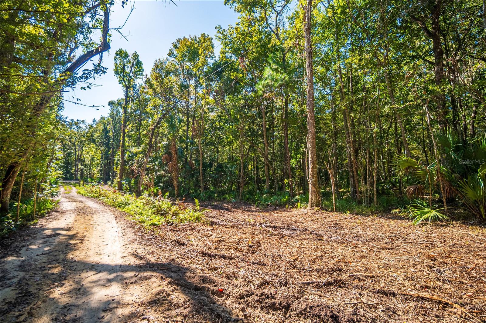 21490 NW 106TH COURT RD, MICANOPY, FL, 32667