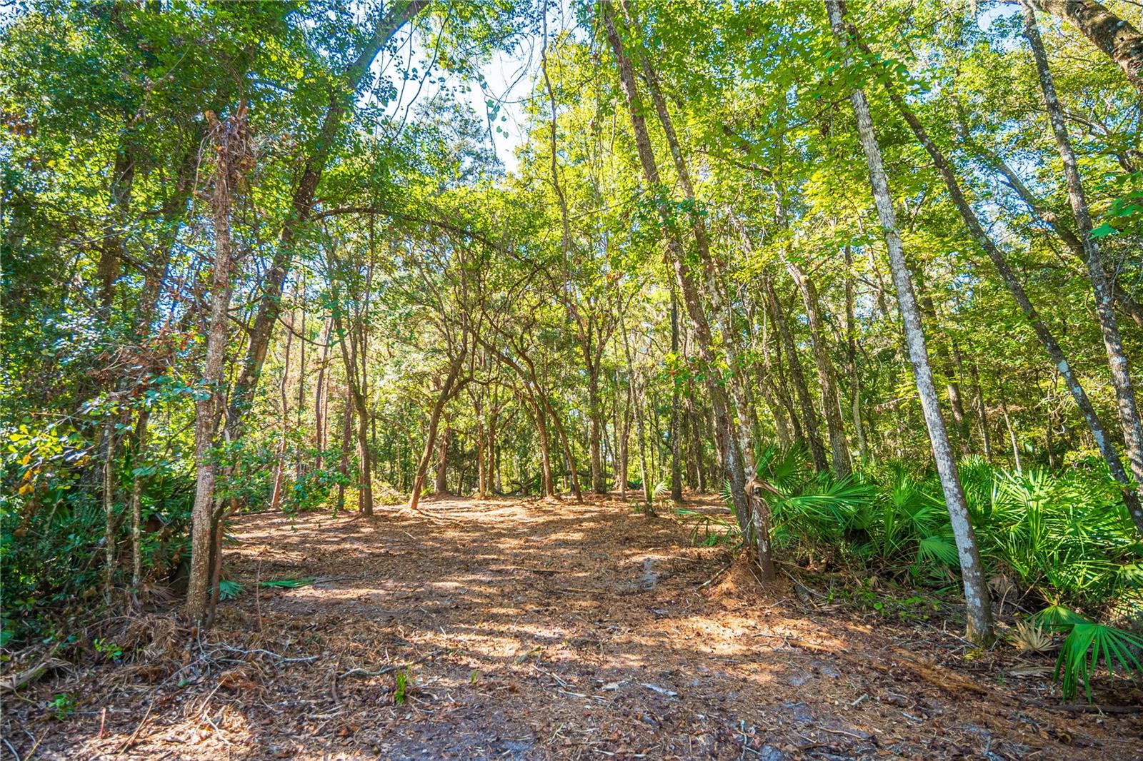 21490 NW 106TH COURT RD, MICANOPY, FL, 32667