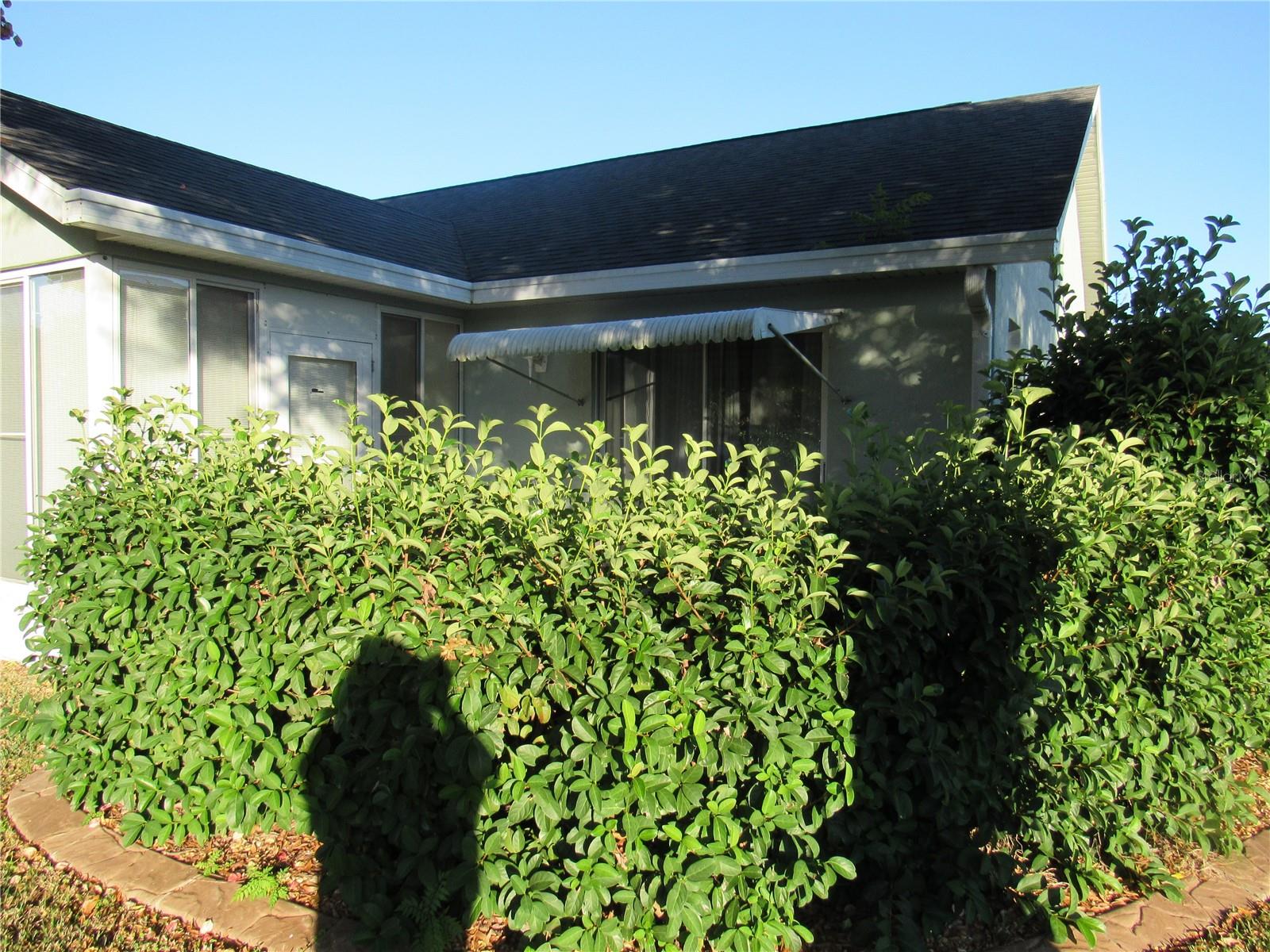 2238 NW 50TH AVE, OCALA, FL, 34482