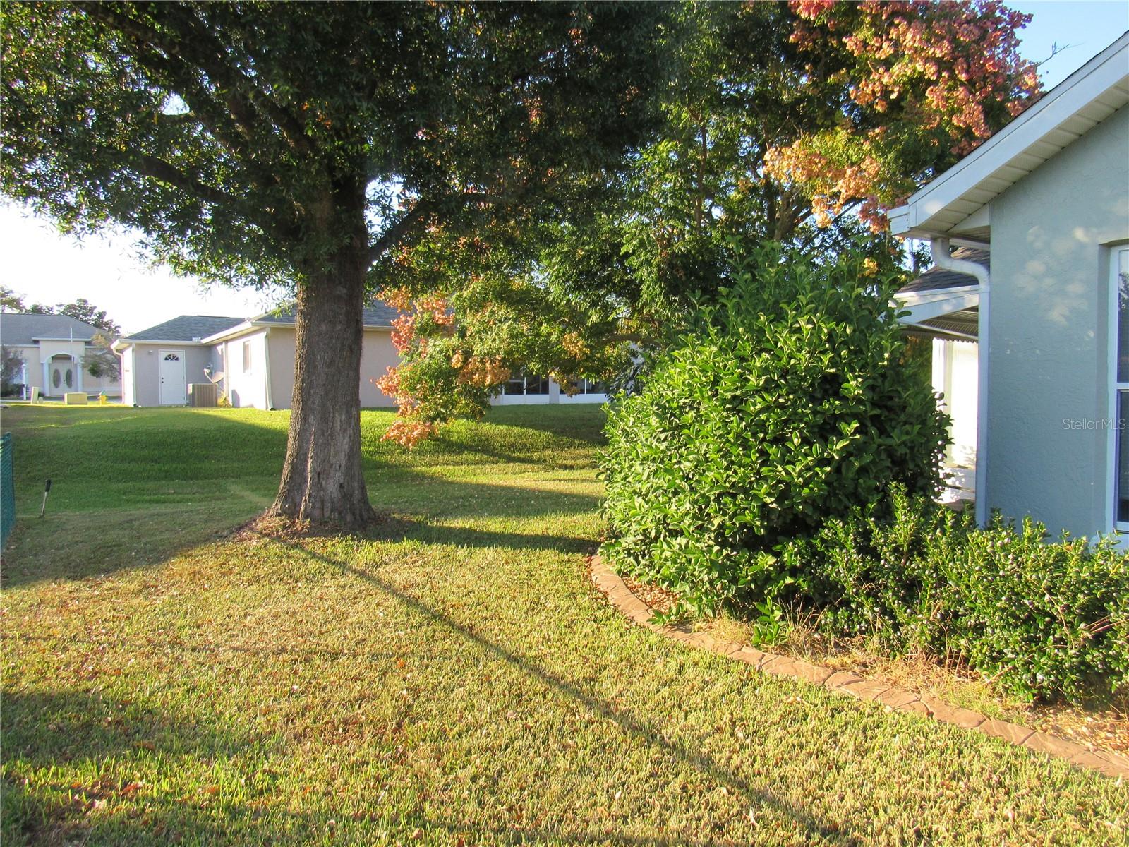 2238 NW 50TH AVE, OCALA, FL, 34482