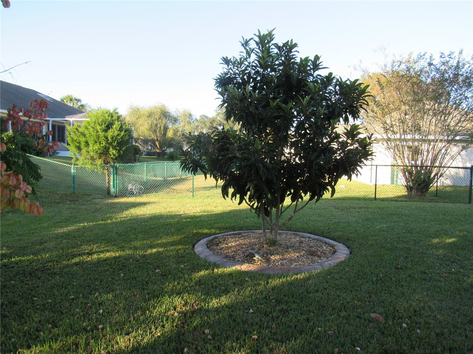 2238 NW 50TH AVE, OCALA, FL, 34482