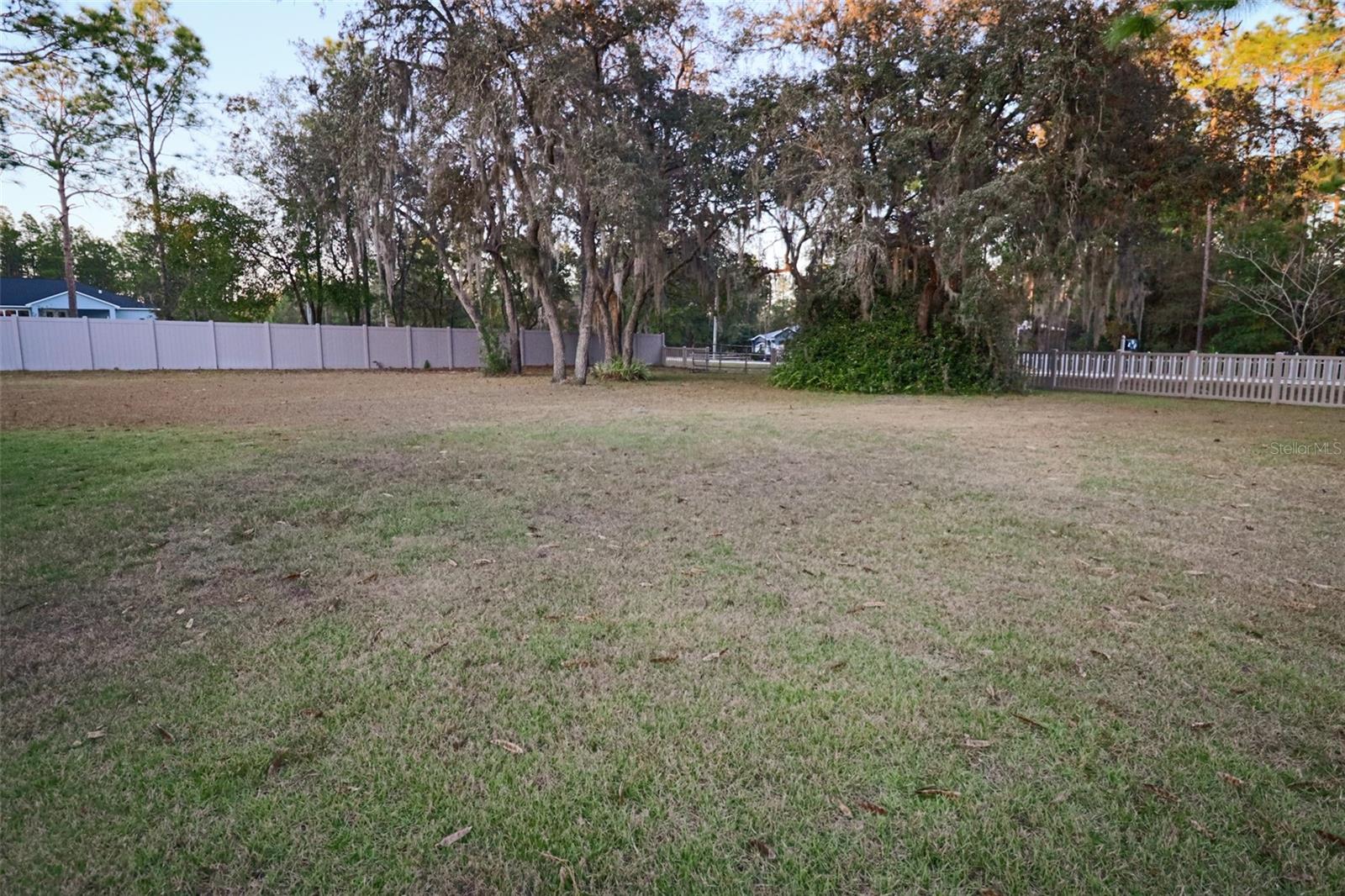 6548 SW 136TH COURT RD, OCALA, FL, 34481