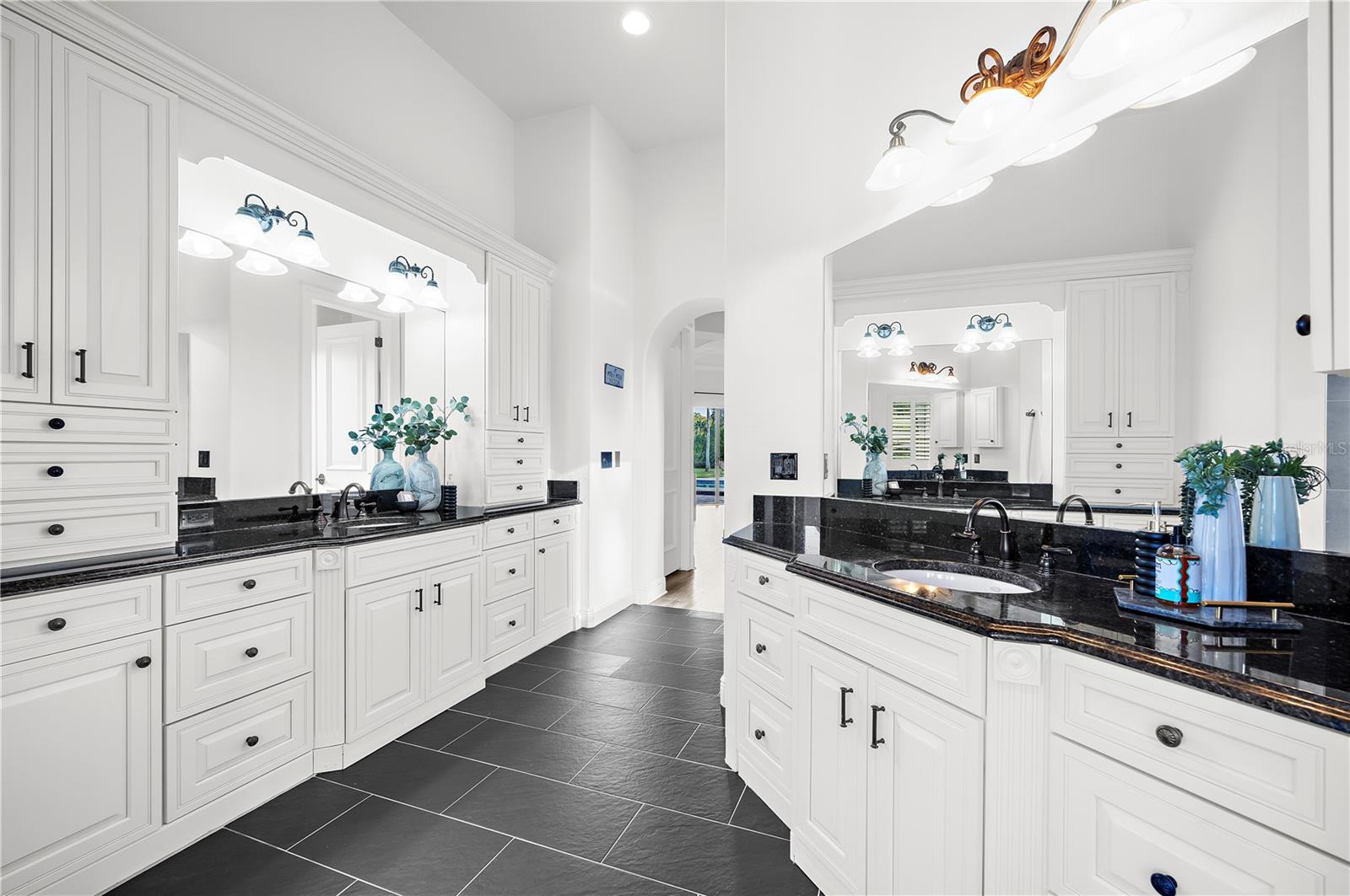 17336 BALLMONT PARK DR, ODESSA, FL, 33556