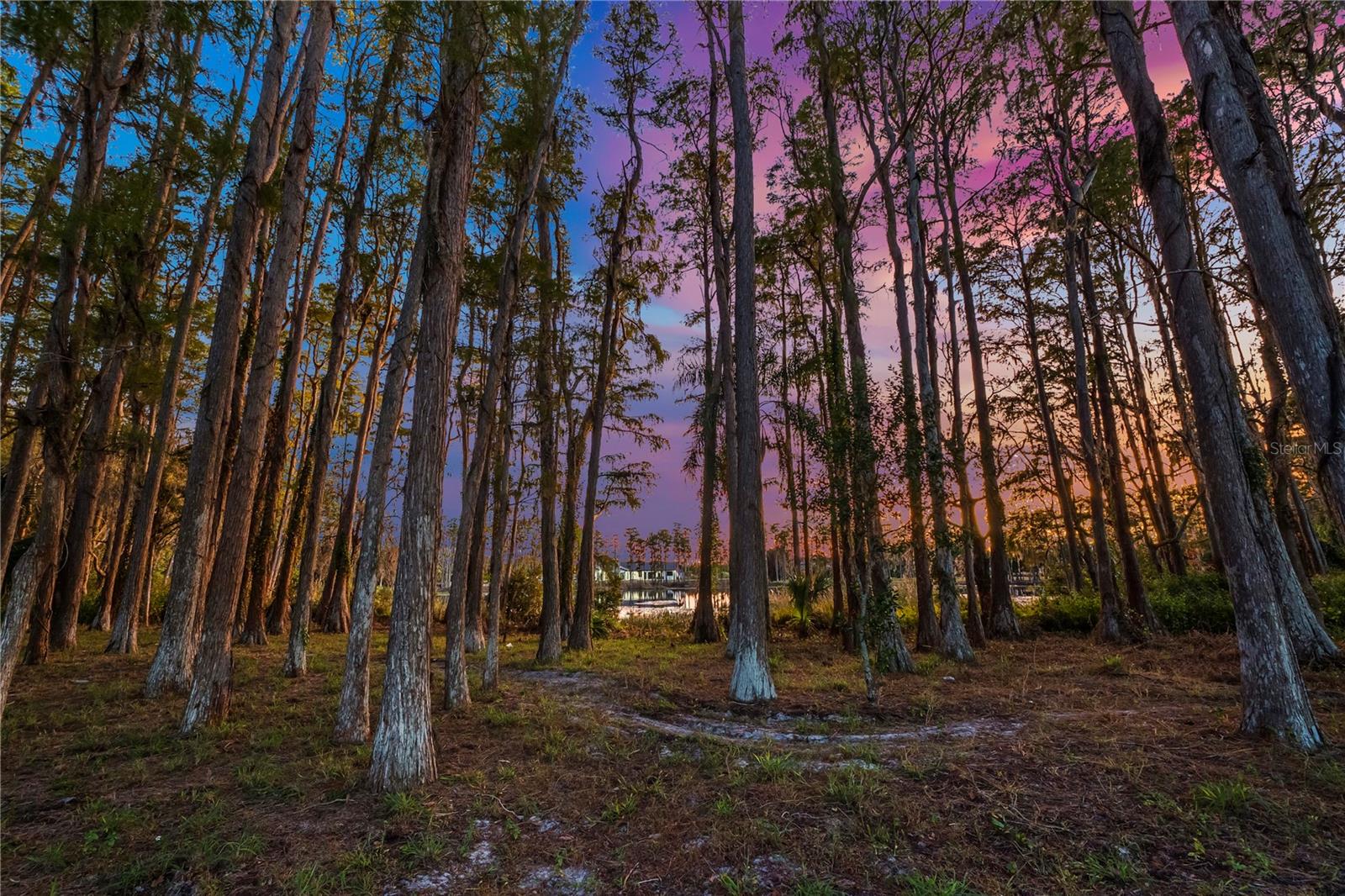 17336 BALLMONT PARK DR, ODESSA, FL, 33556