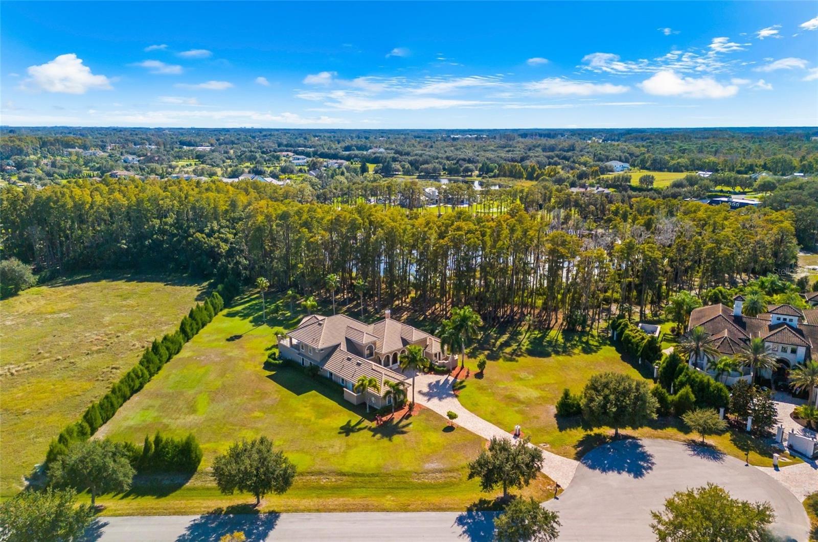 17336 BALLMONT PARK DR, ODESSA, FL, 33556