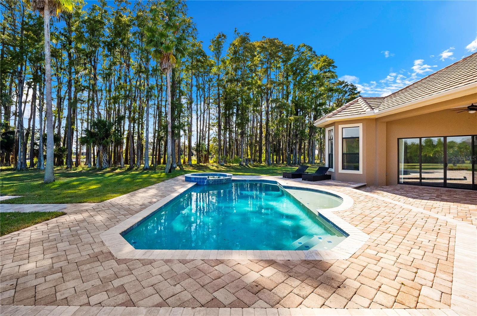 17336 BALLMONT PARK DR, ODESSA, FL, 33556