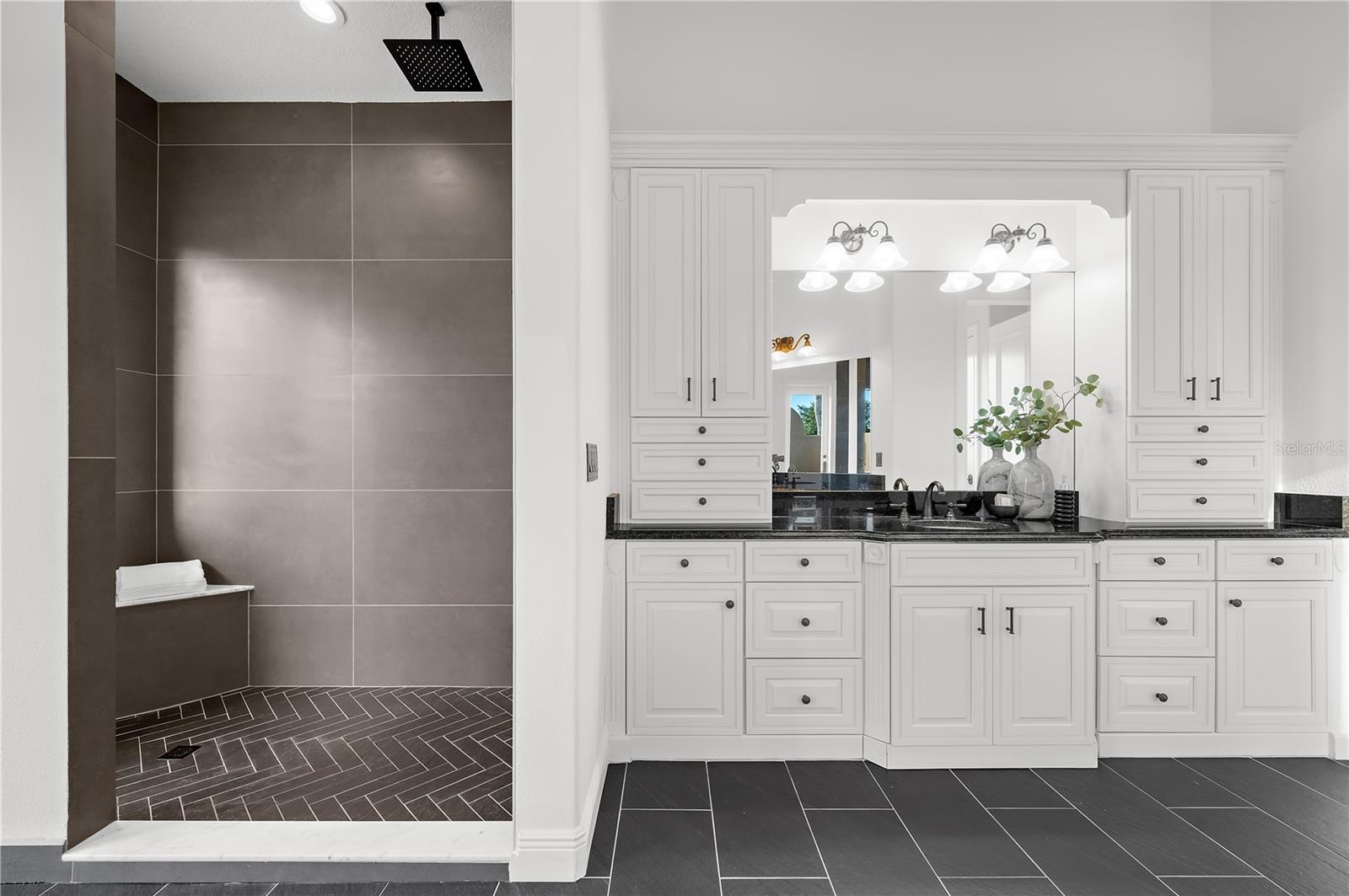 17336 BALLMONT PARK DR, ODESSA, FL, 33556