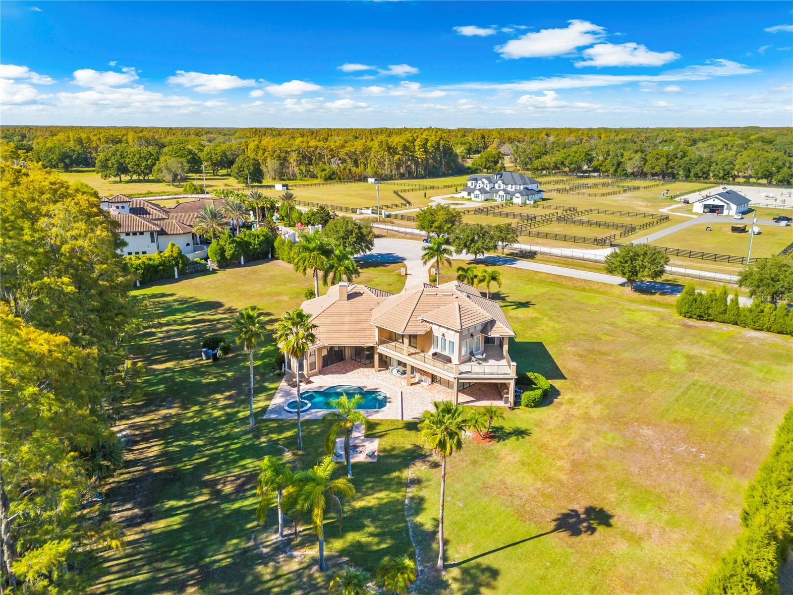 17336 BALLMONT PARK DR, ODESSA, FL, 33556