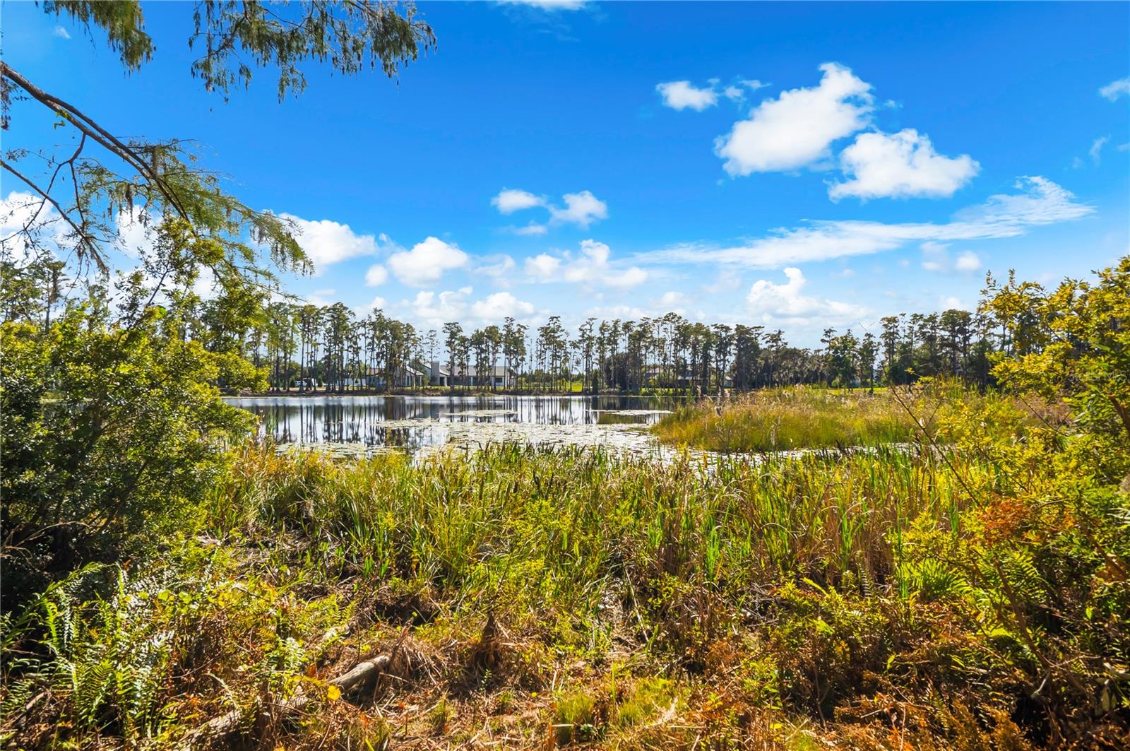 17336 BALLMONT PARK DR, ODESSA, FL, 33556