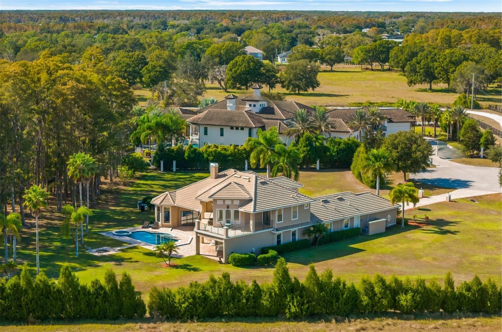 17336 BALLMONT PARK DR, ODESSA, FL, 33556