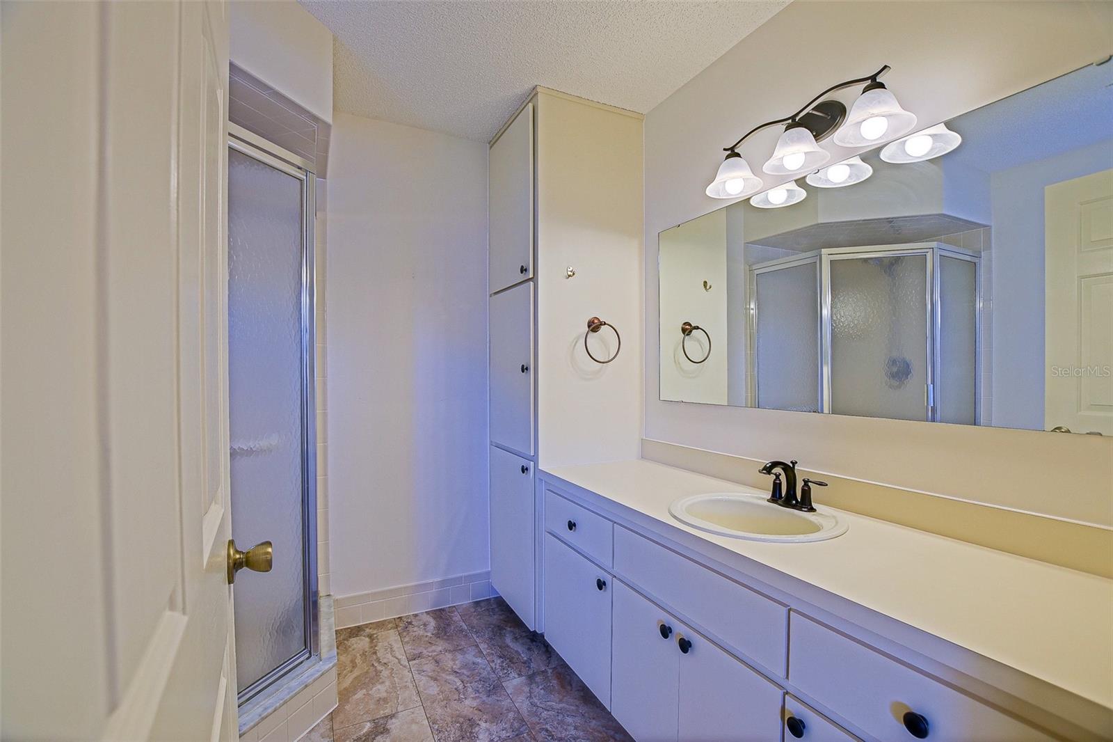 9509 SE 173RD LN, SUMMERFIELD, FL, 34491