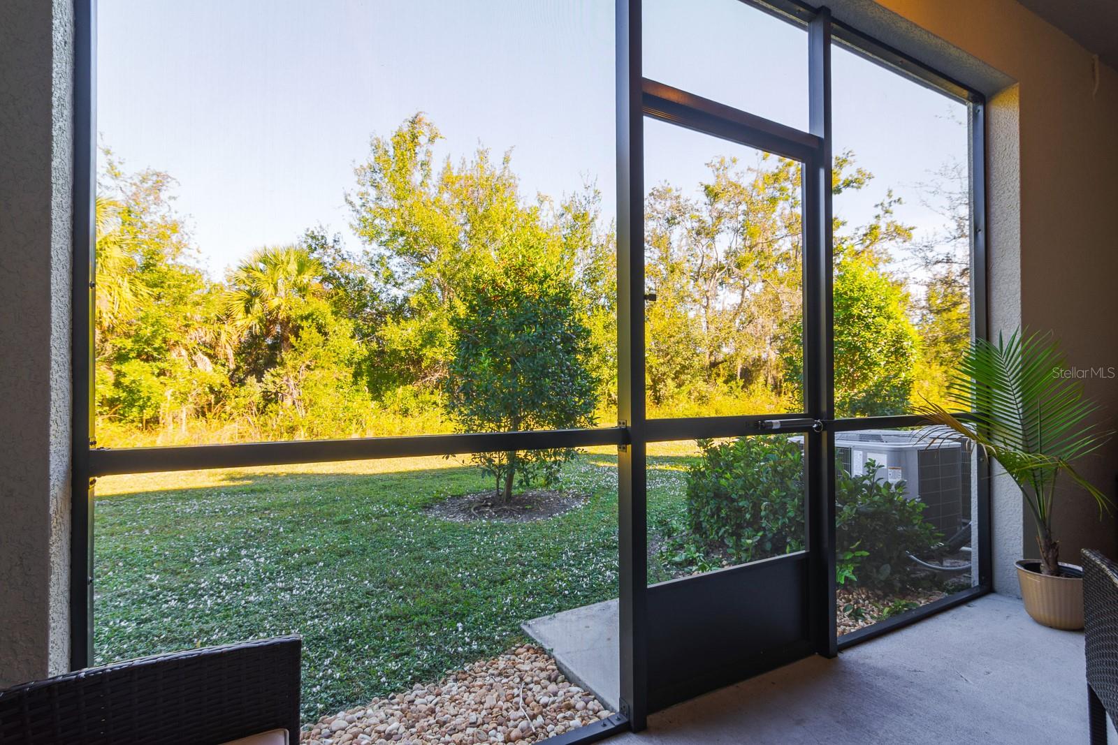 1552 CASSIUS ST, LUTZ, FL, 33549