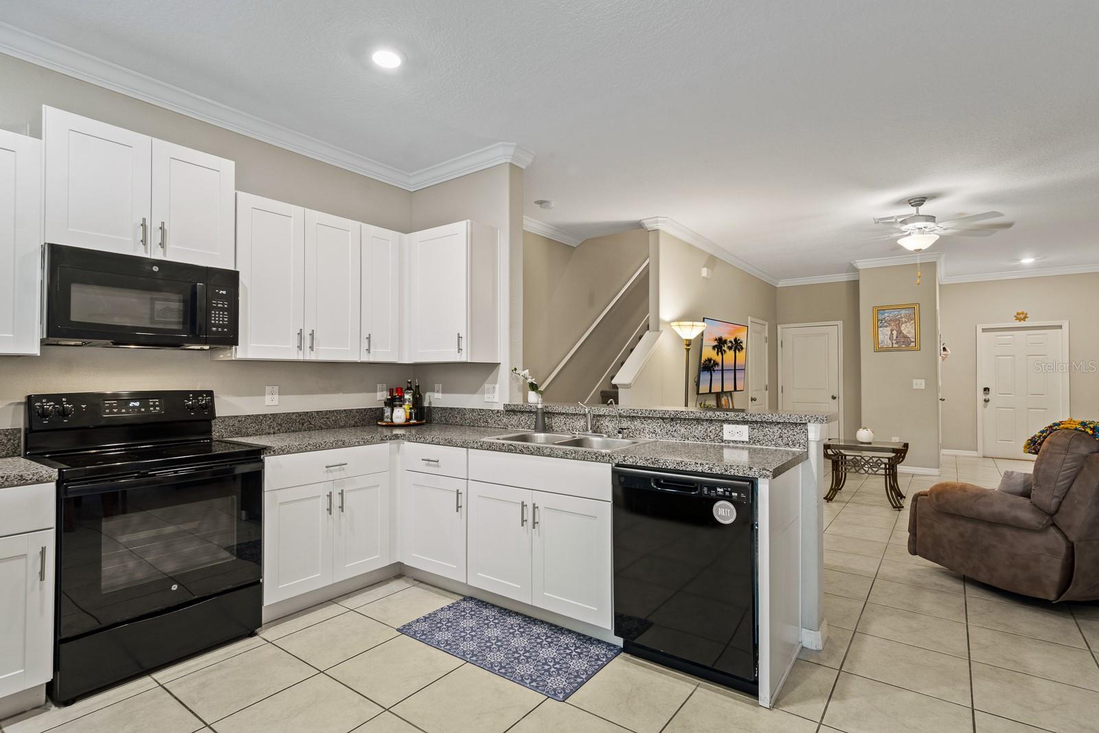 1552 CASSIUS ST, LUTZ, FL, 33549