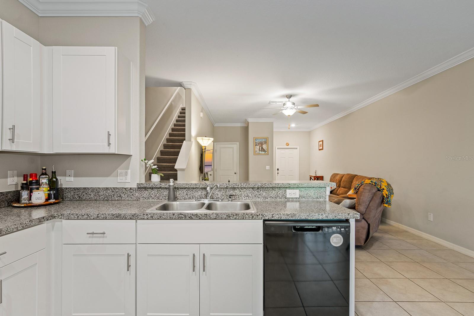 1552 CASSIUS ST, LUTZ, FL, 33549