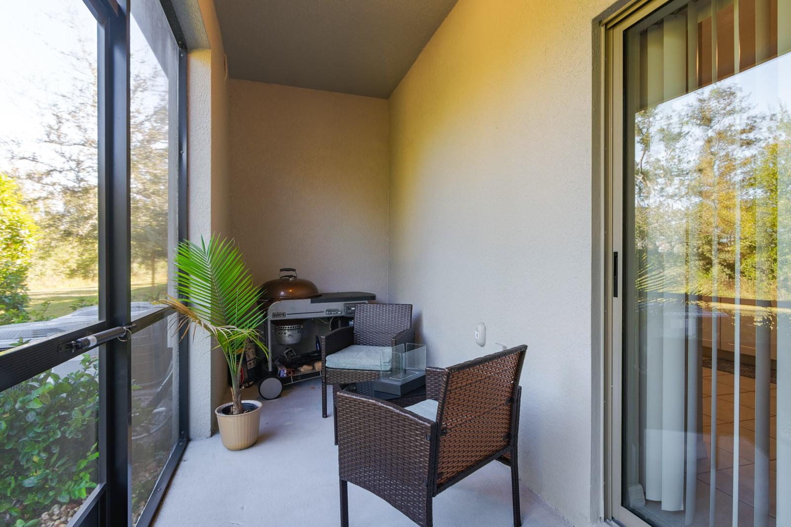 1552 CASSIUS ST, LUTZ, FL, 33549