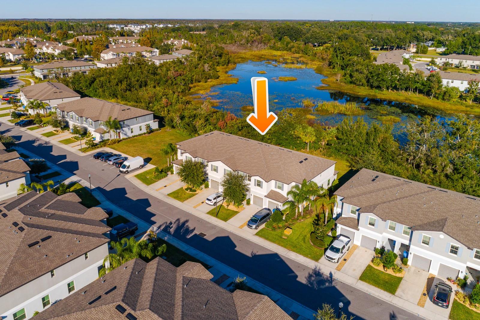 1552 CASSIUS ST, LUTZ, FL, 33549