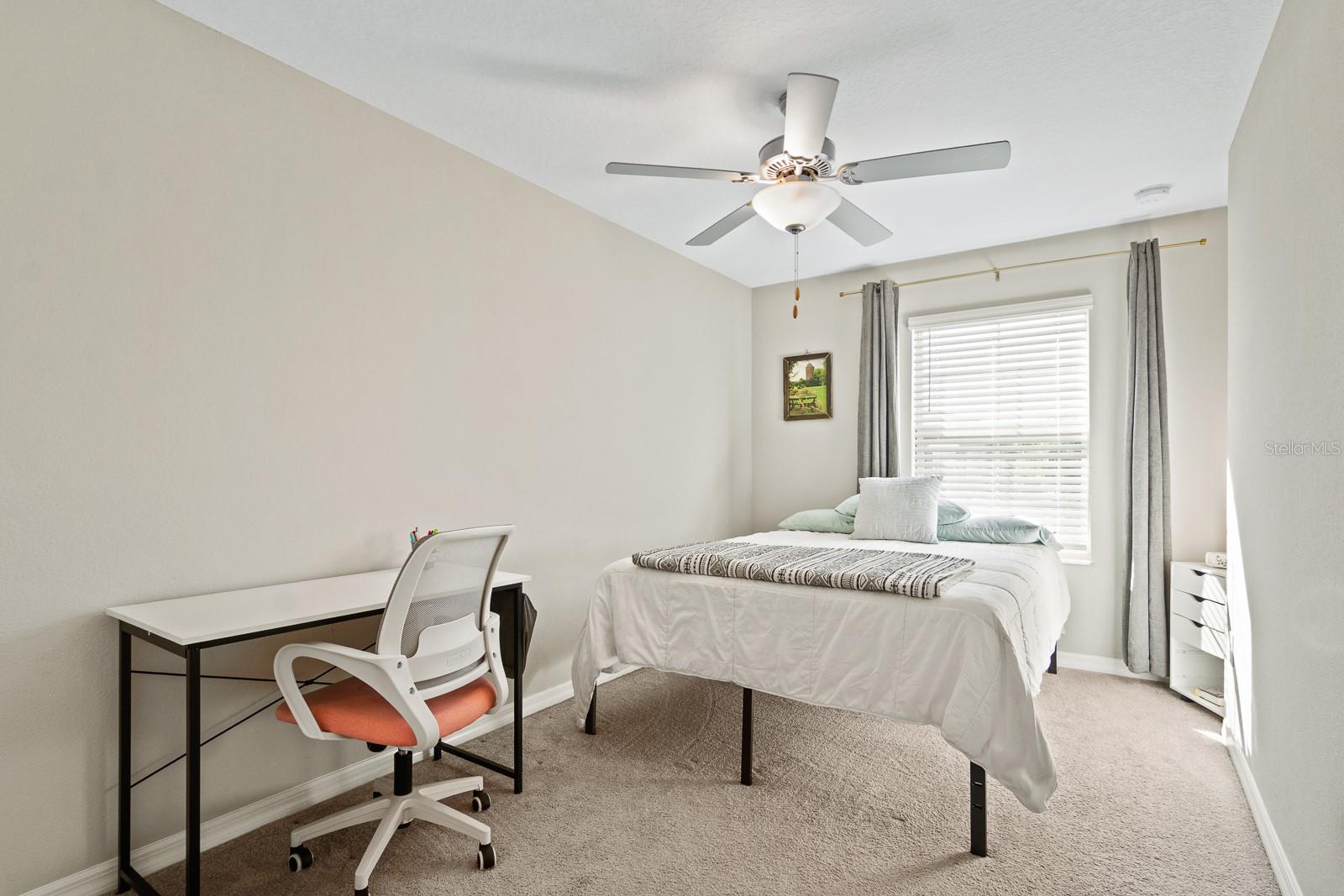 1552 CASSIUS ST, LUTZ, FL, 33549