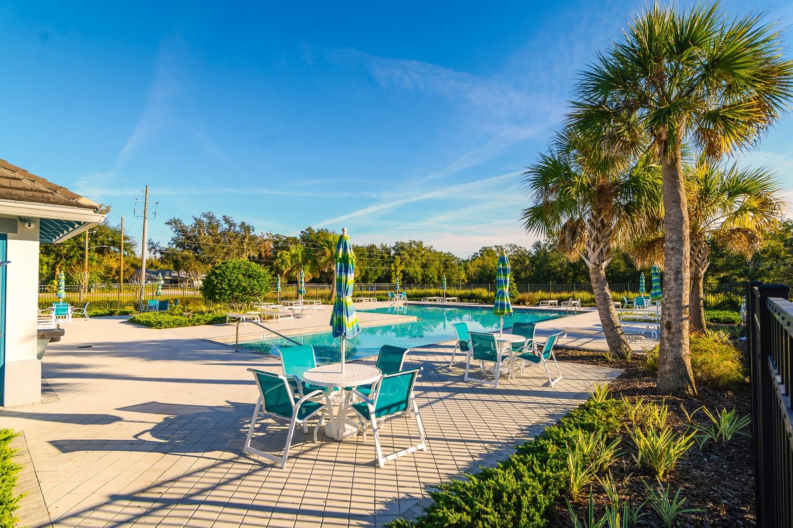 1552 CASSIUS ST, LUTZ, FL, 33549