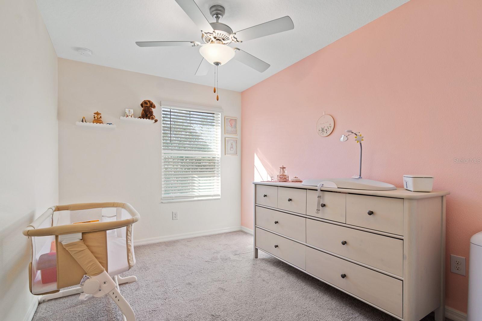 1552 CASSIUS ST, LUTZ, FL, 33549