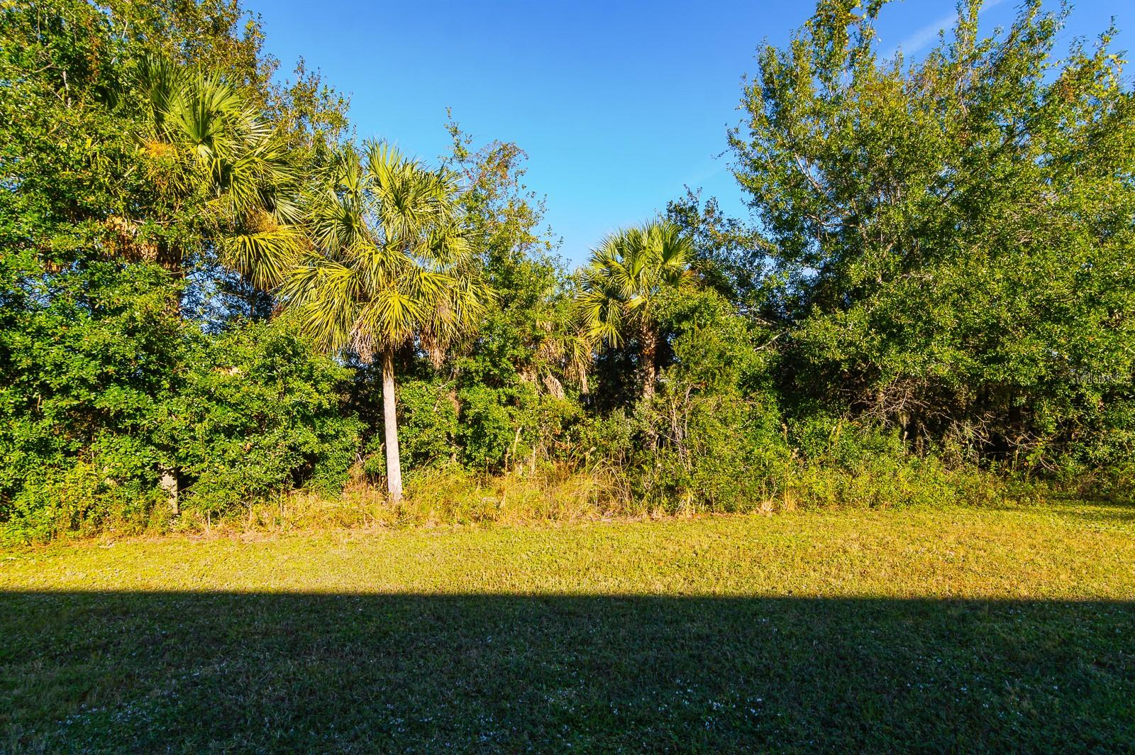 1552 CASSIUS ST, LUTZ, FL, 33549