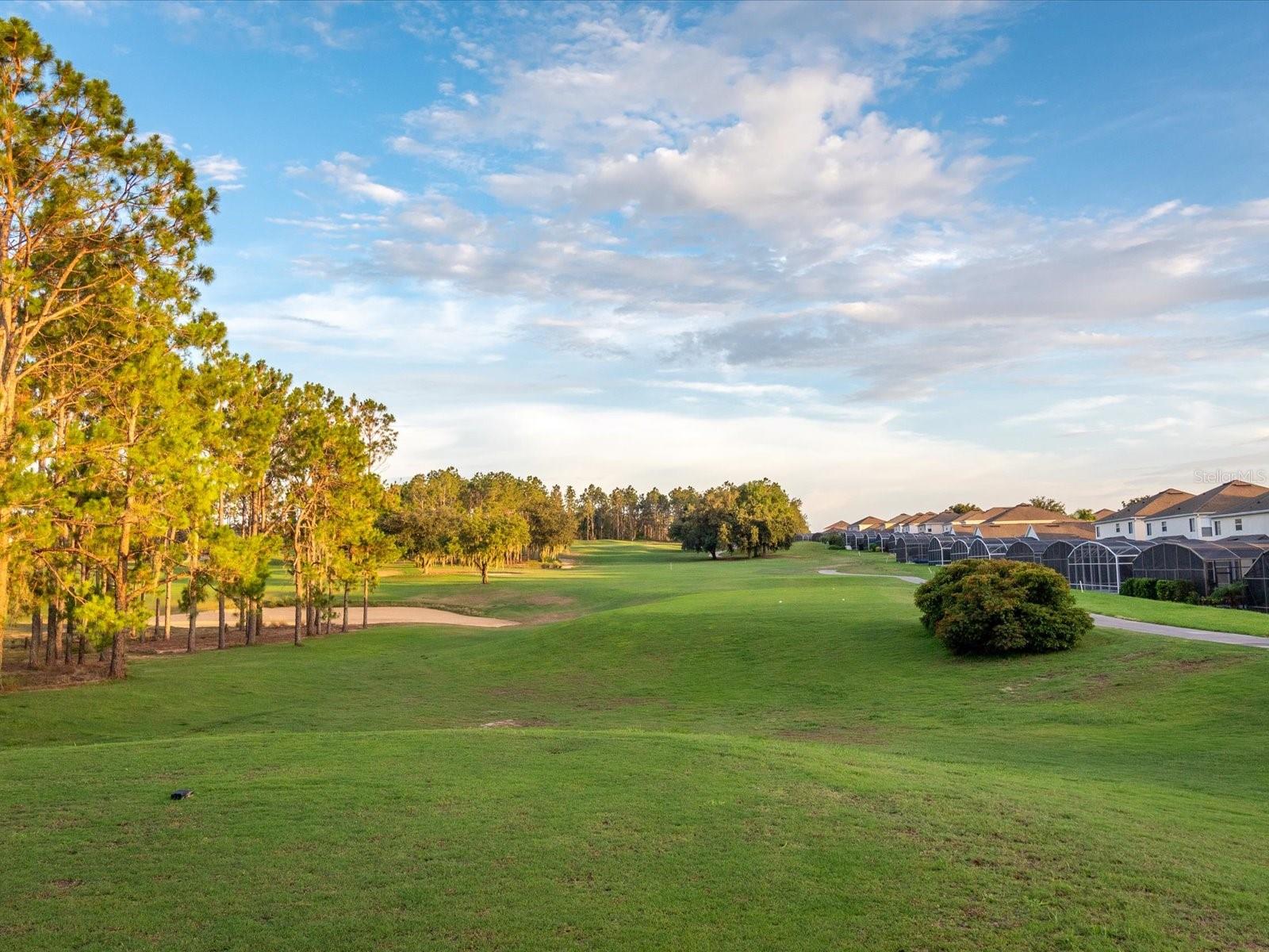 1050 ST ANDREWS ST, DAVENPORT, FL, 33897