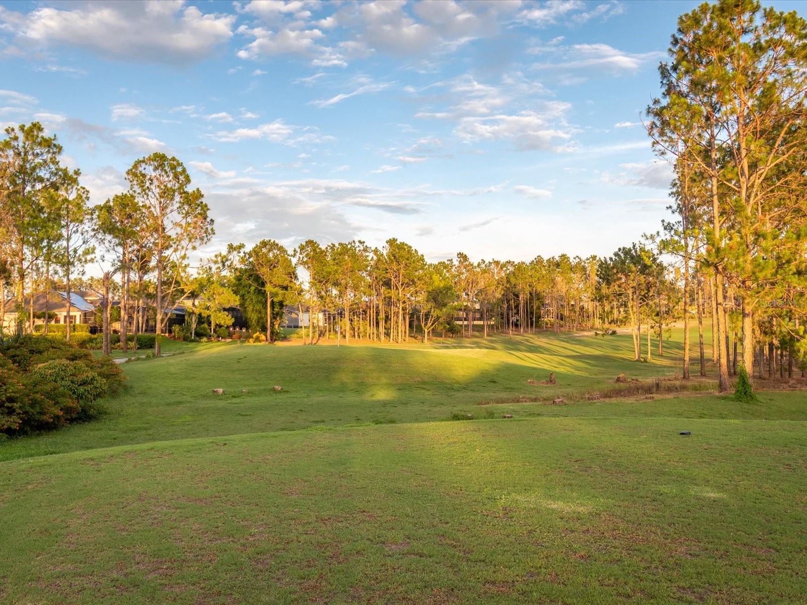 1050 ST ANDREWS ST, DAVENPORT, FL, 33897