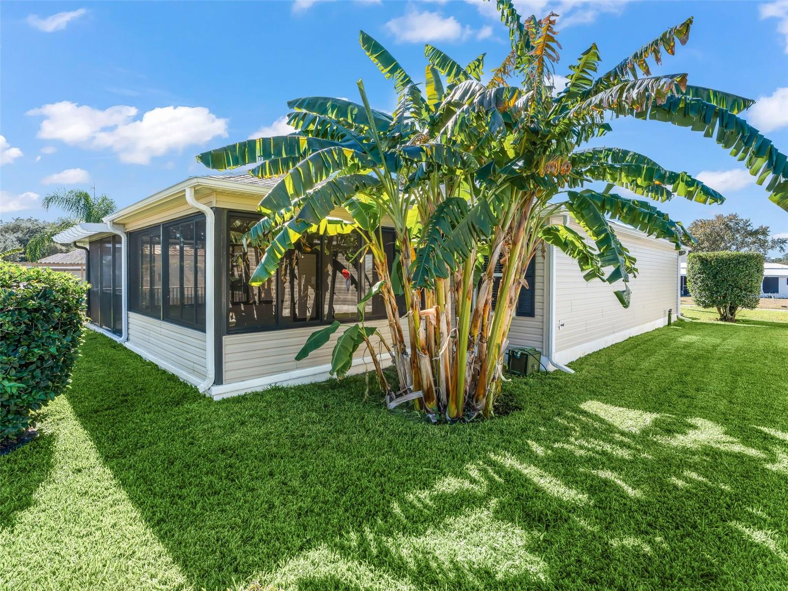 828 SILVER OAK AVE, THE VILLAGES, FL, 32159