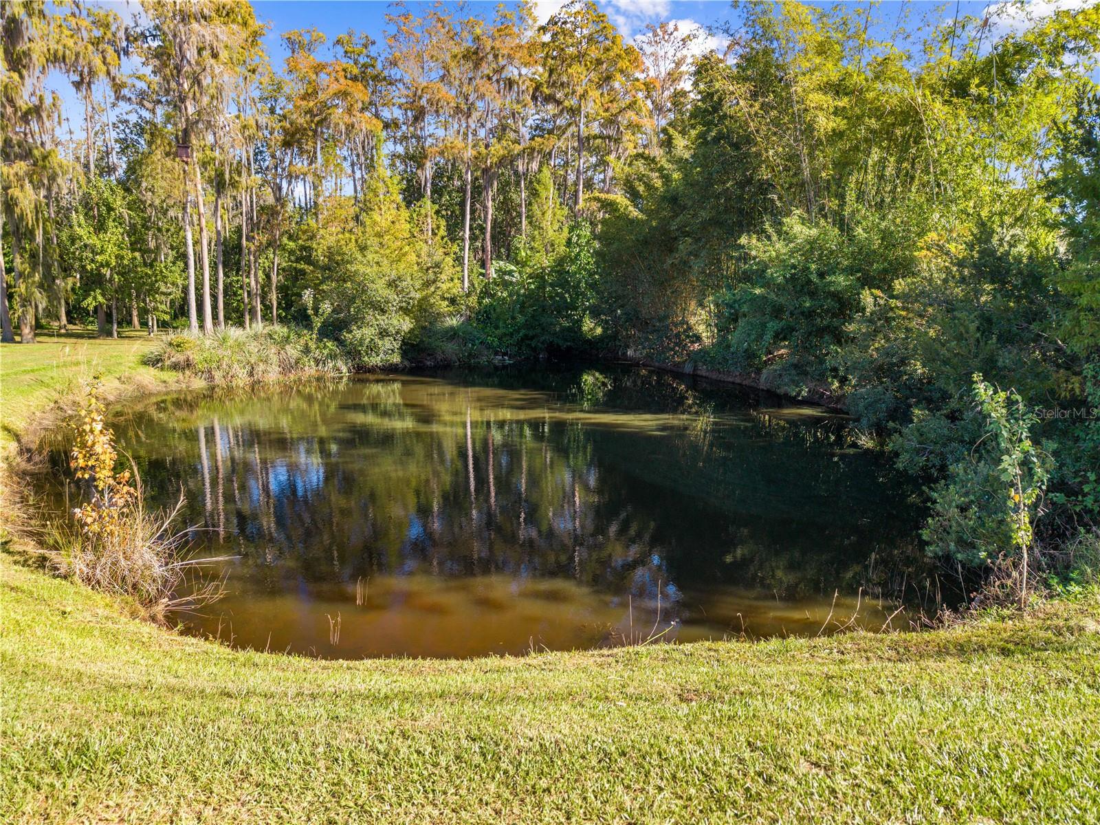 4055 EDSEL AVE, ST CLOUD, FL, 34772