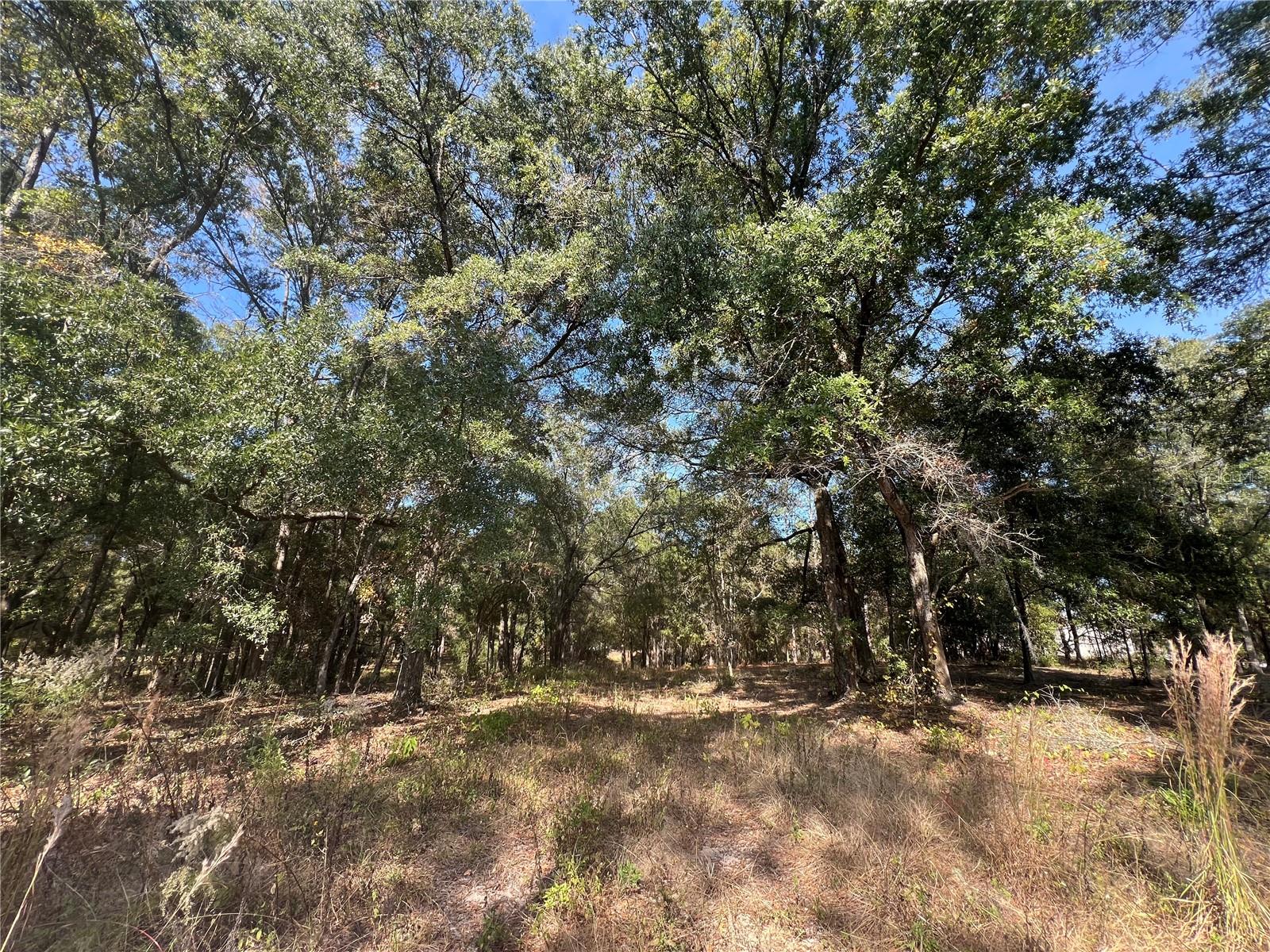 13465 SW 100TH ST, DUNNELLON, FL, 34432