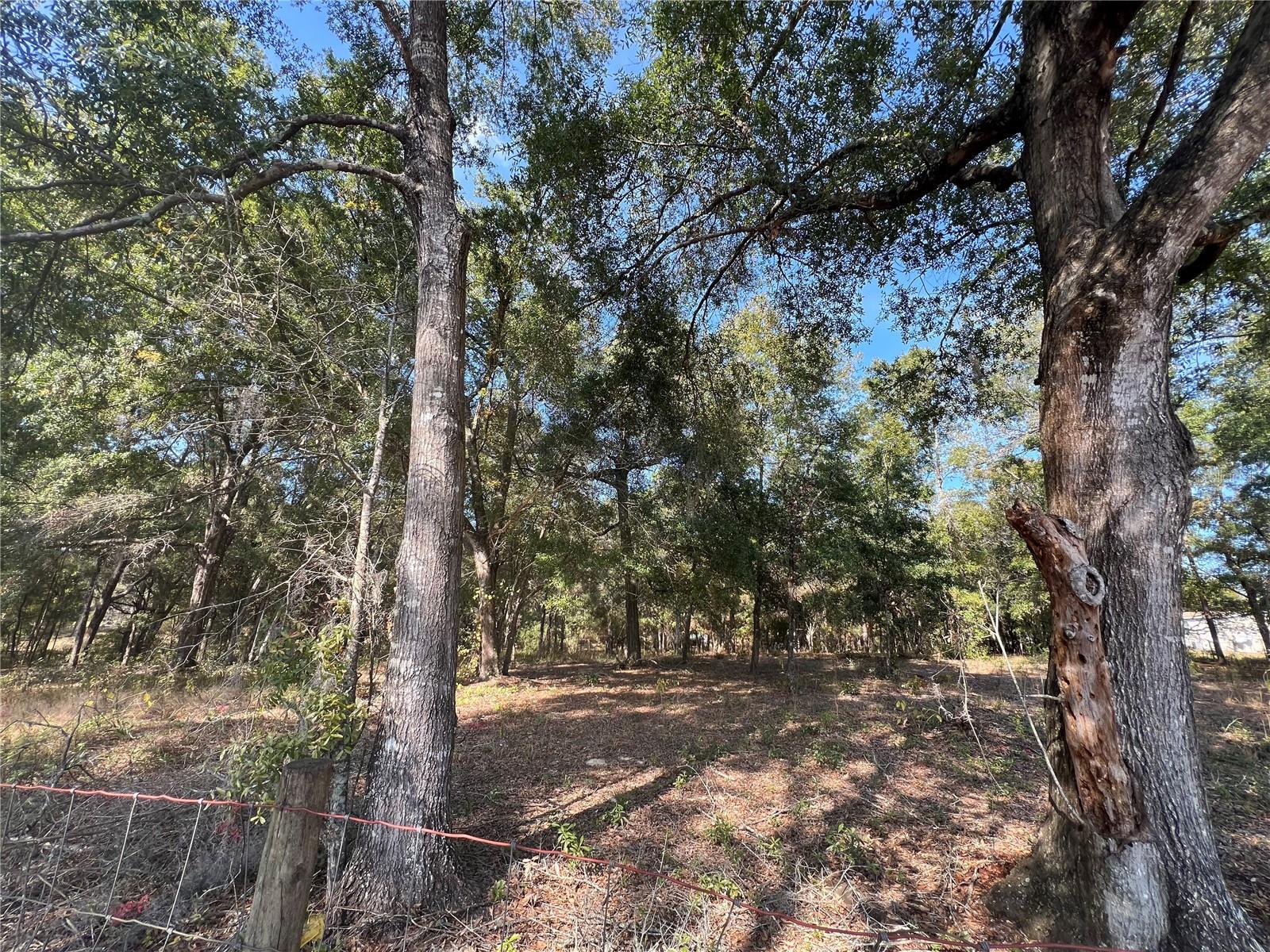 13465 SW 100TH ST, DUNNELLON, FL, 34432